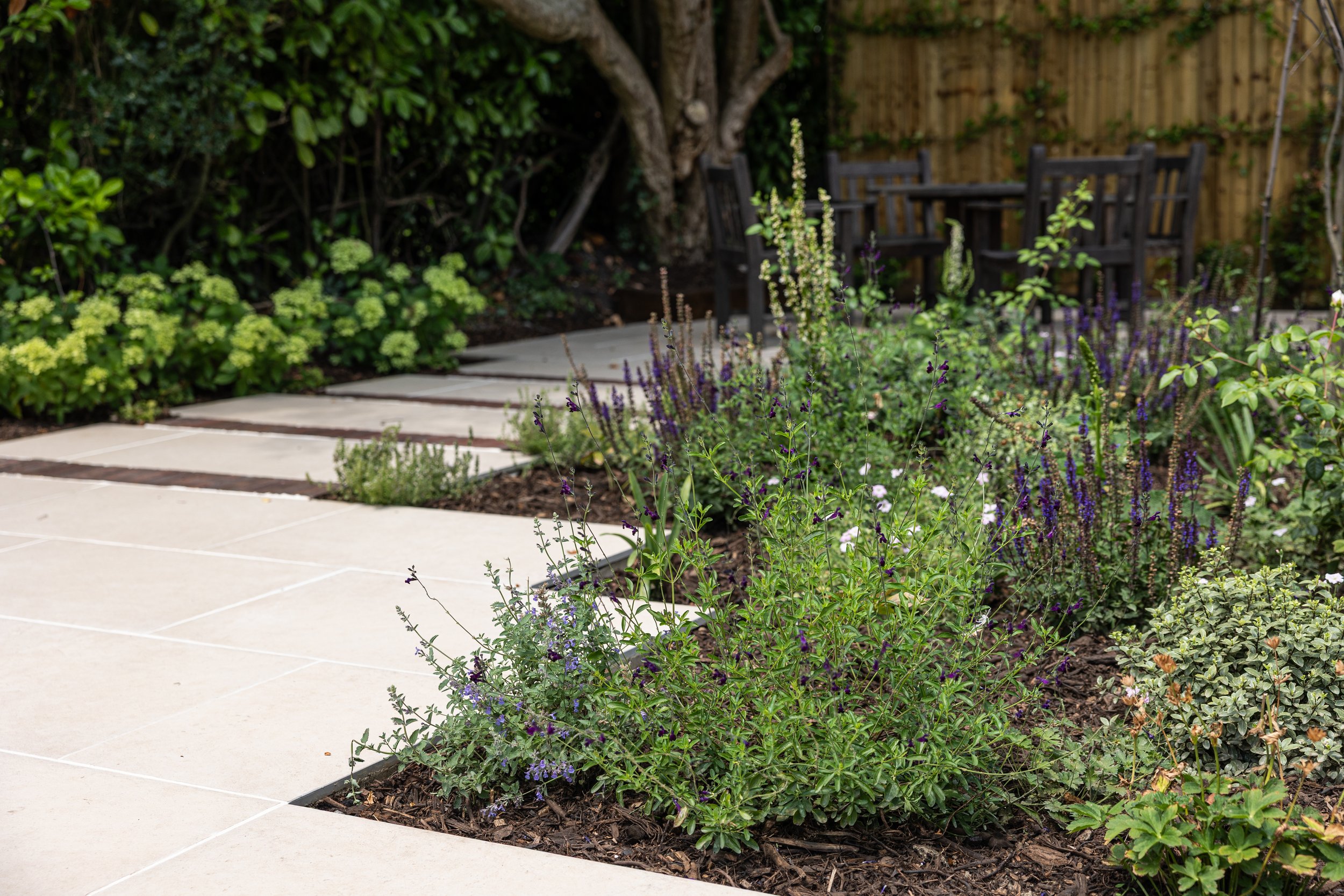 Alex-Plumley-Gardens-134.jpg