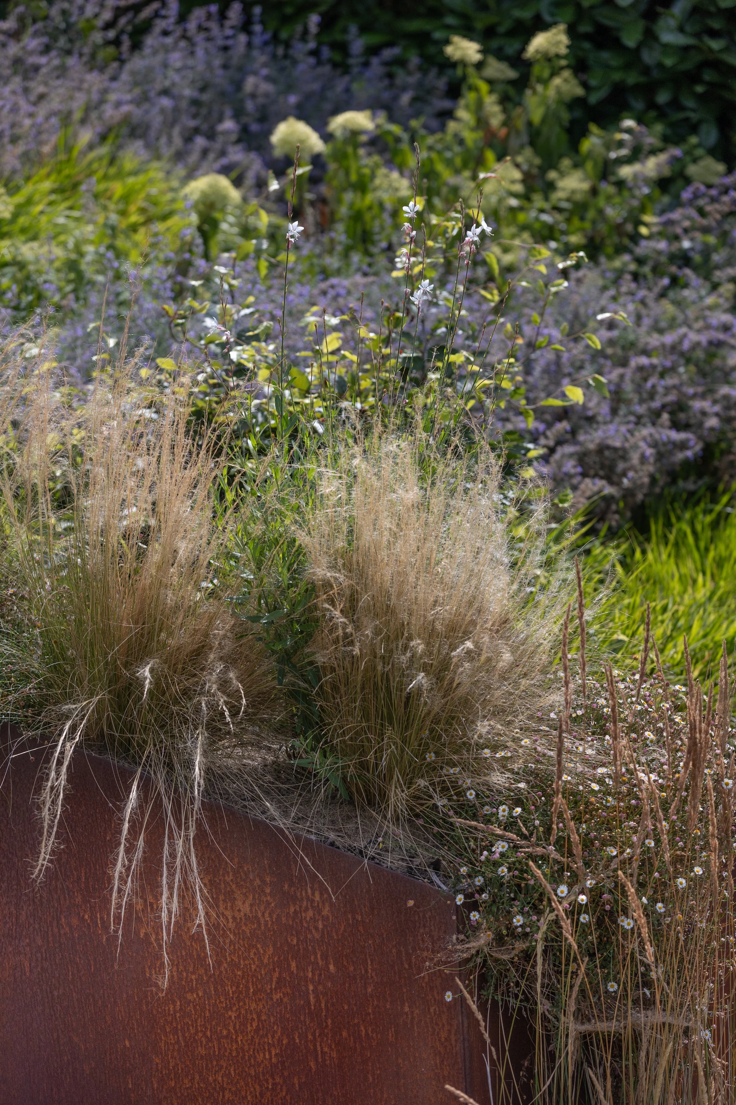 Alex-Plumley-Gardens-73.jpg