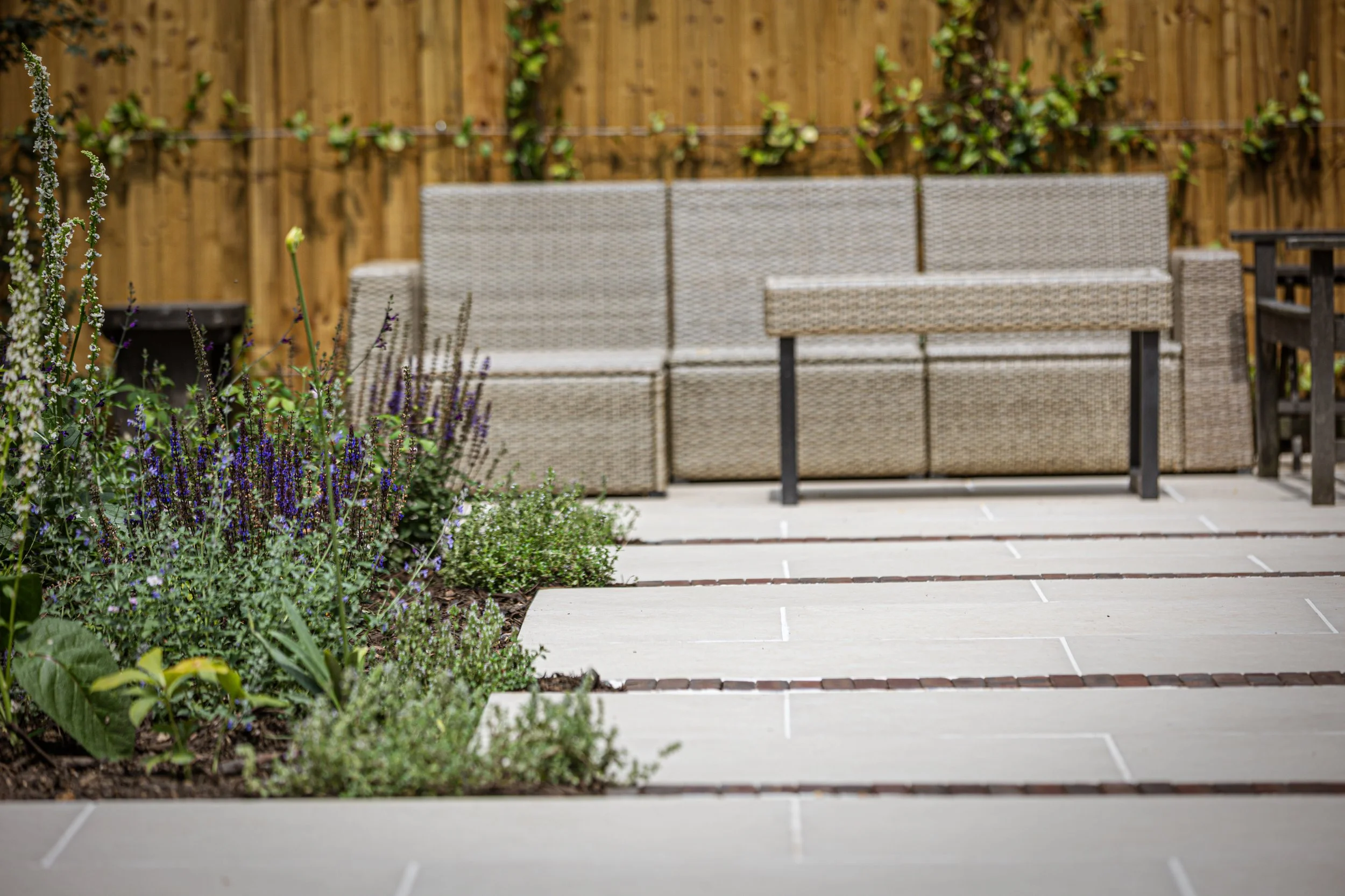 Alex-Plumley-Gardens-138.jpg