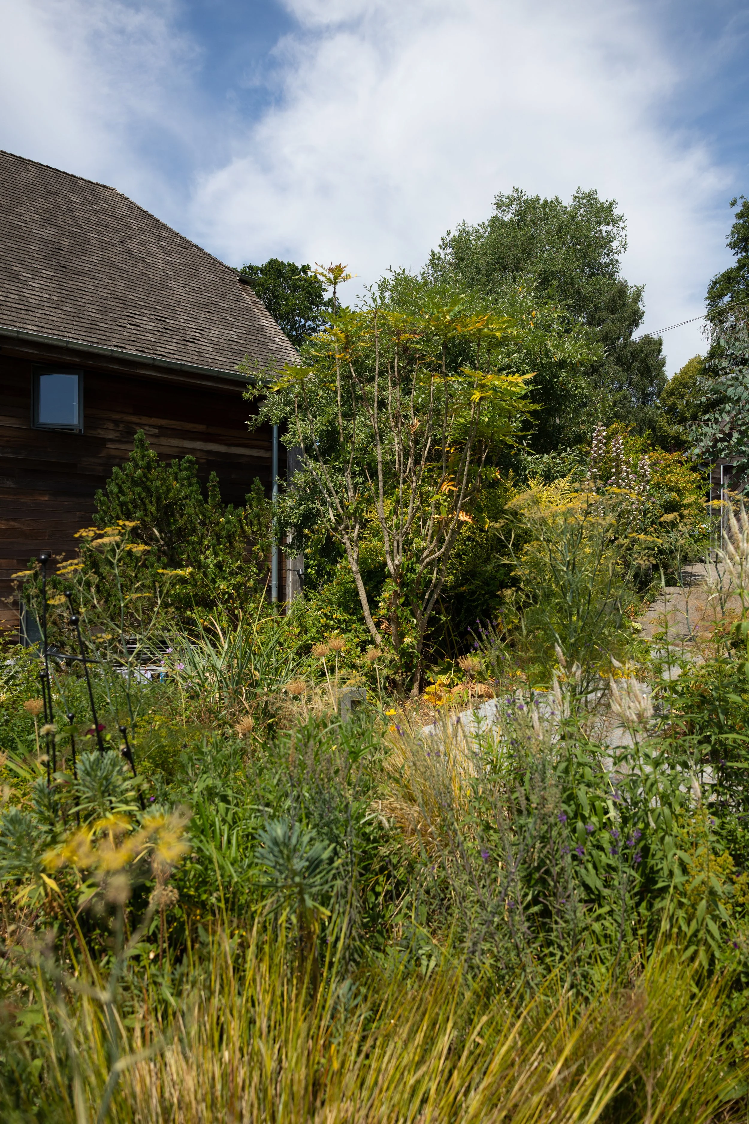 Alex-Plumley-Gardens-112.jpg