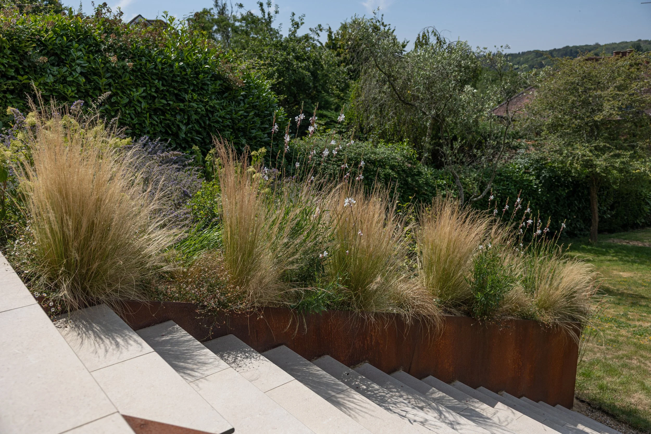 Alex-Plumley-Gardens-79.jpg
