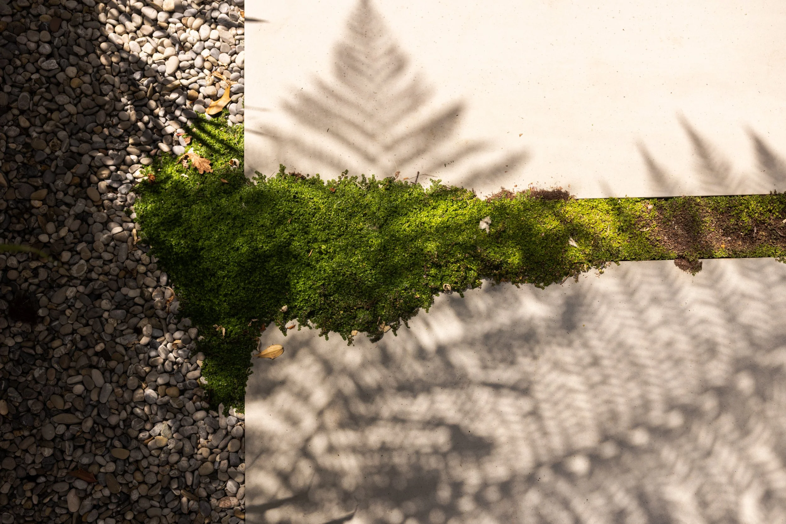 Alex-Plumley-Gardens-103.jpg