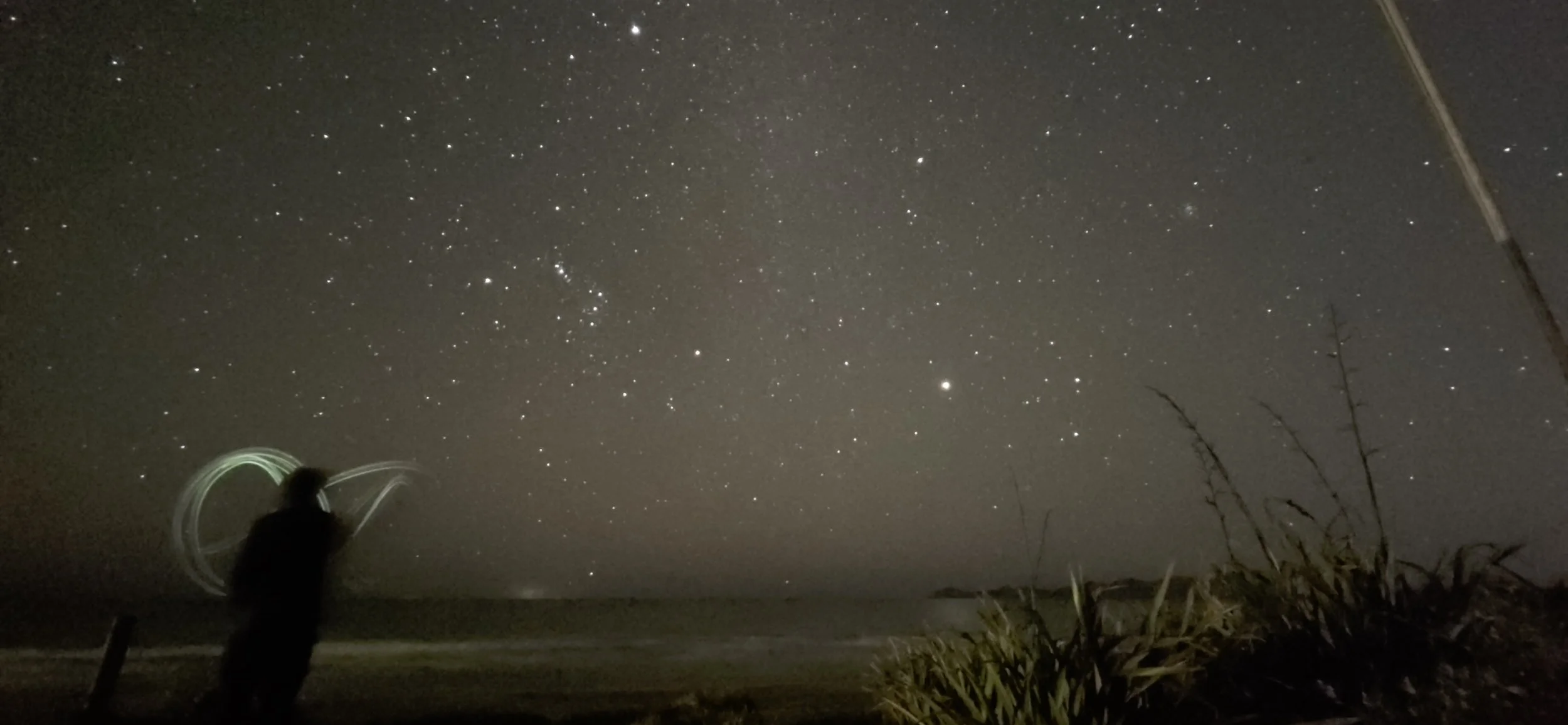 A person standing outdoors at night near the ocean, with starry sky above and some trees or bushes in the foreground.