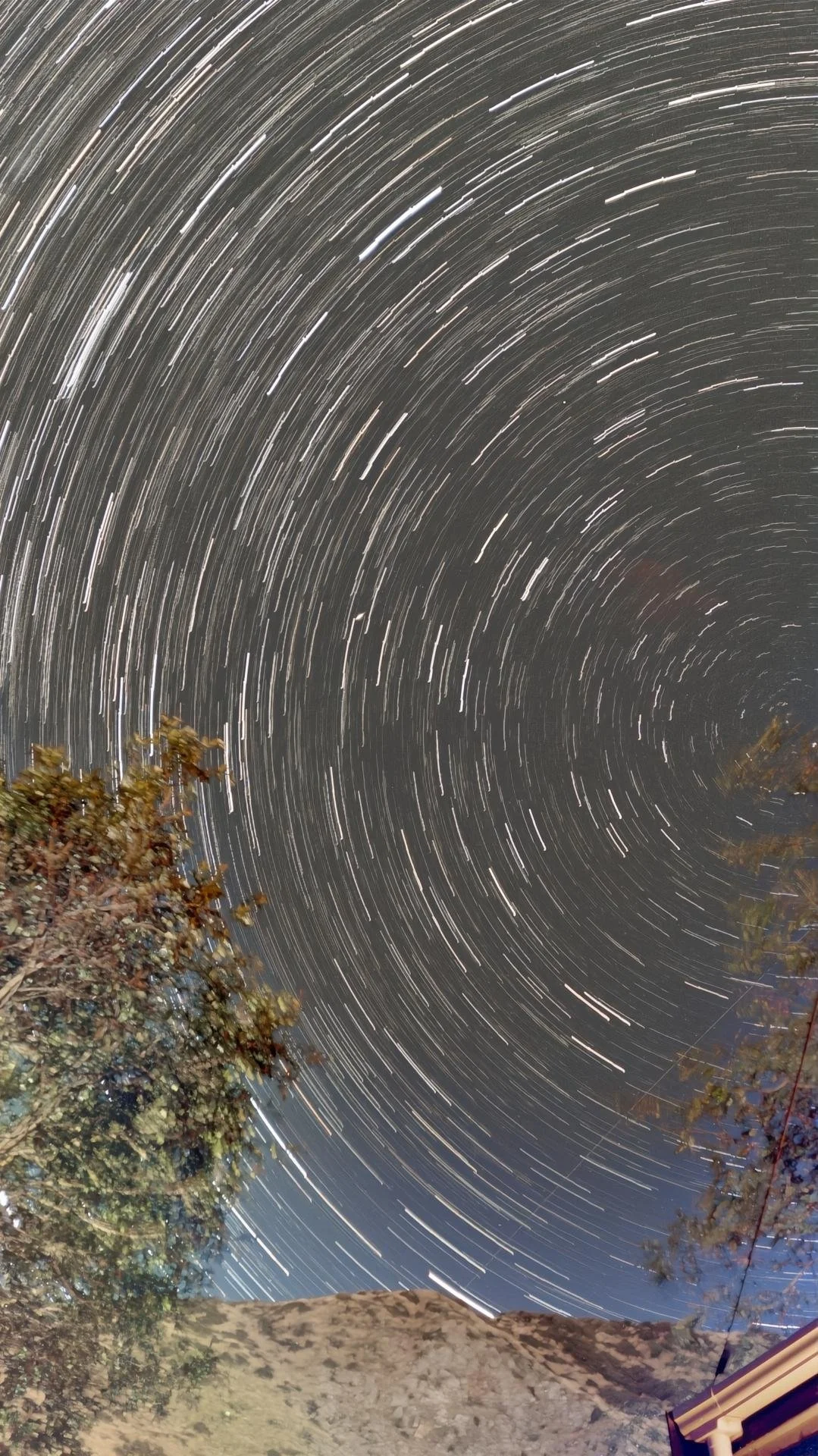 Long exposure photograph of star trails circling the night sky, with trees and a hillside at the bottom.