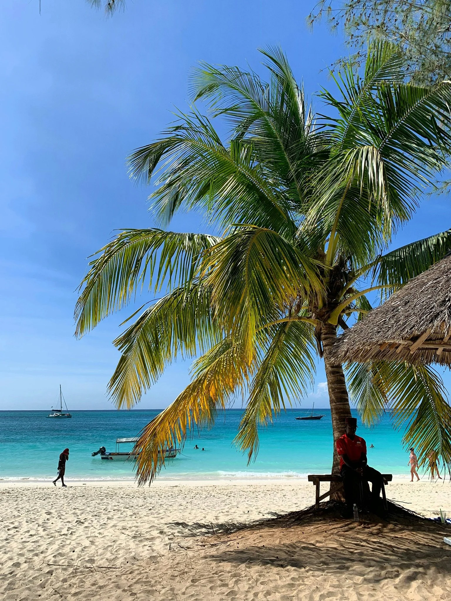 Indian Ocean coast in Tanzania