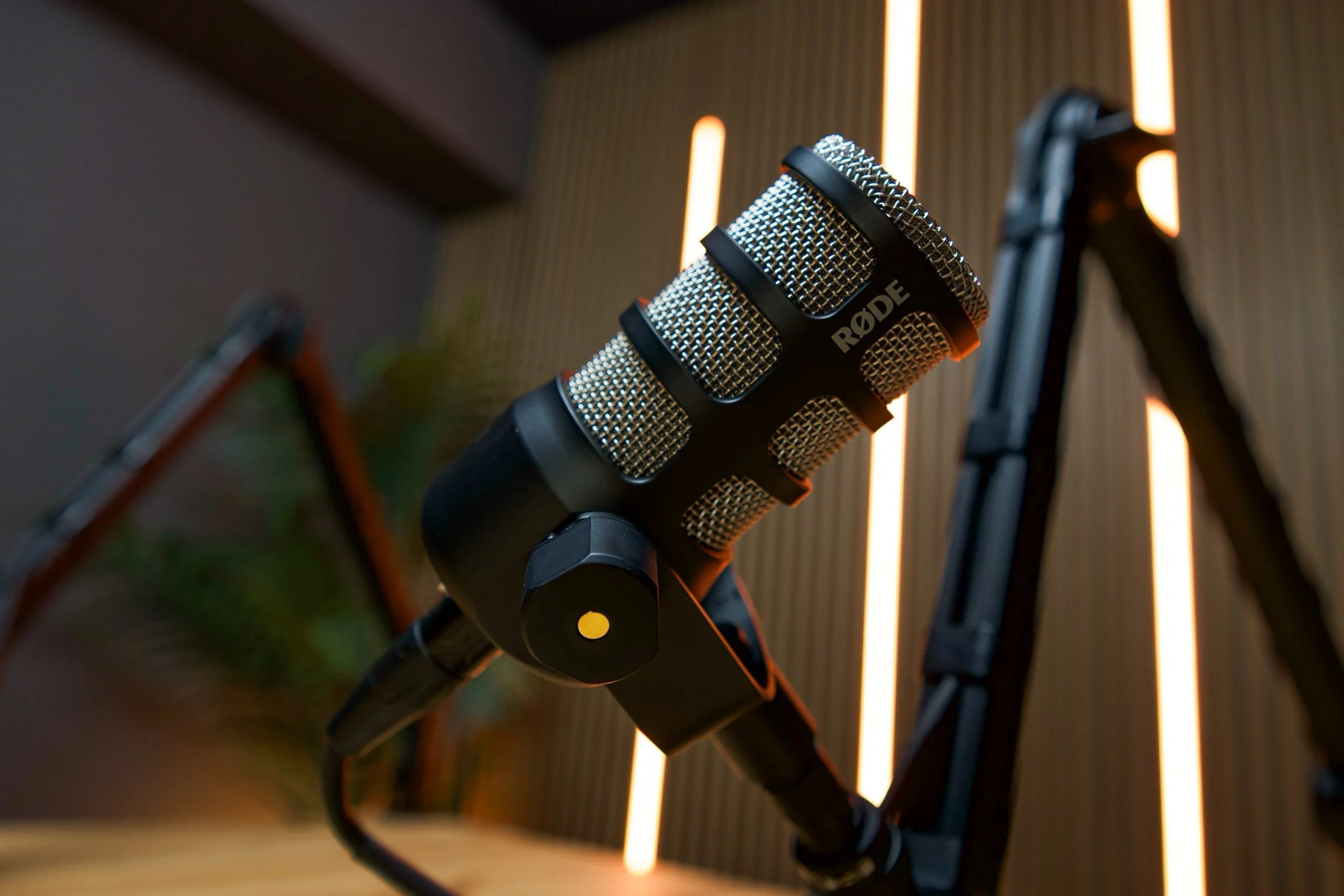 Close-up of a professional studio microphone labeled RØDE, mounted on a stand, with a blurred background of acoustic panels and warm ambient lighting.