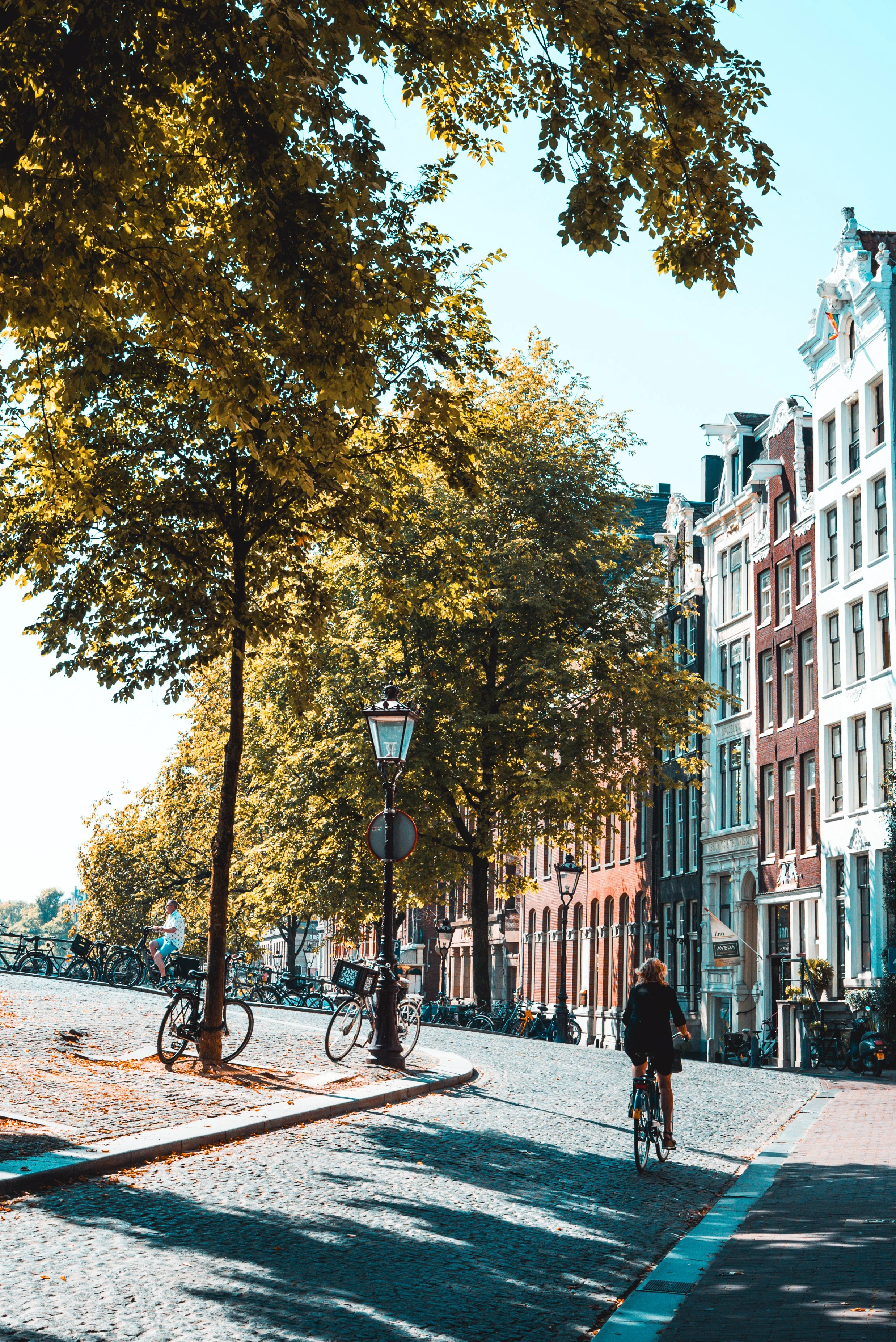 A scenic street in an old European city with colorful buildings, trees casting shadows, bicycles parked along the sidewalk, and a person riding a bicycle on a sunny day.