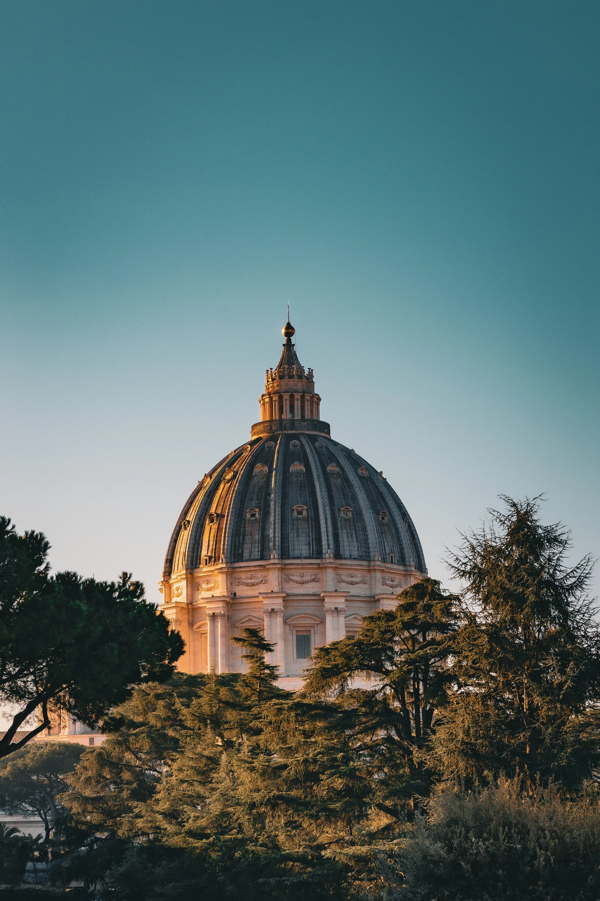 Dome of a historic building with trees in the foreground during golden hour.