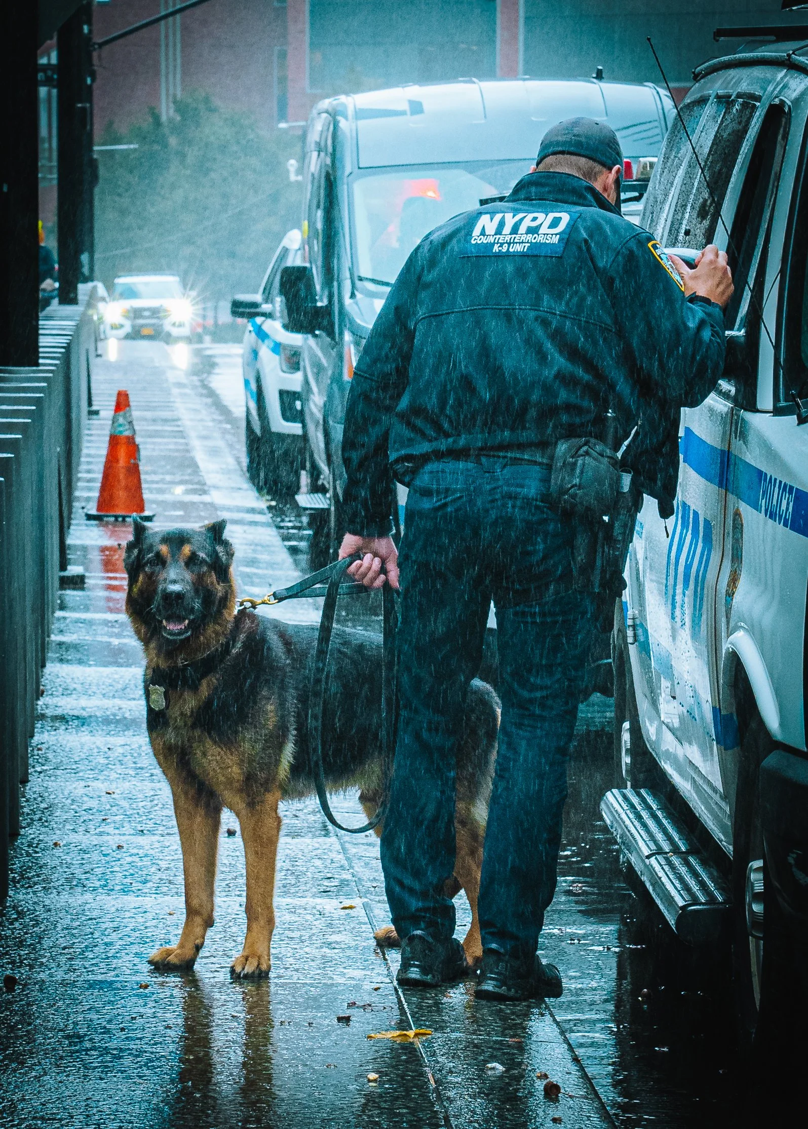 A police officer with a trained police dog in a rainstorm on a city street. The officer is wearing a NYPD jacket and cap, and the dog is leashed, standing on the wet pavement near police vehicles and traffic cones.