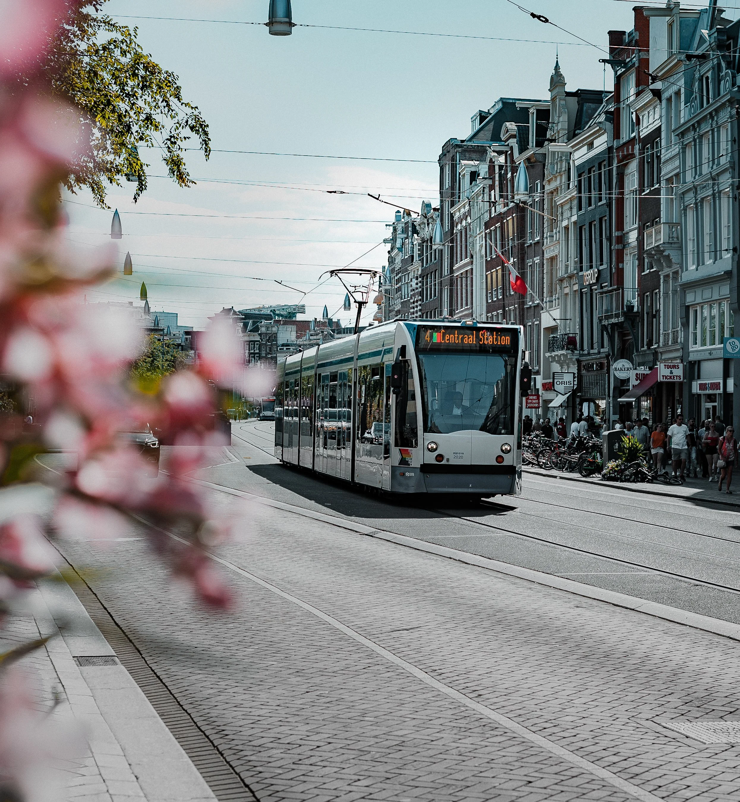 A modern tram on a city street with buildings and shops on the side, some bicycles parked, and pedestrians walking. Blurred pink flowers are in the foreground. The tram's display shows it is heading to Central Station.