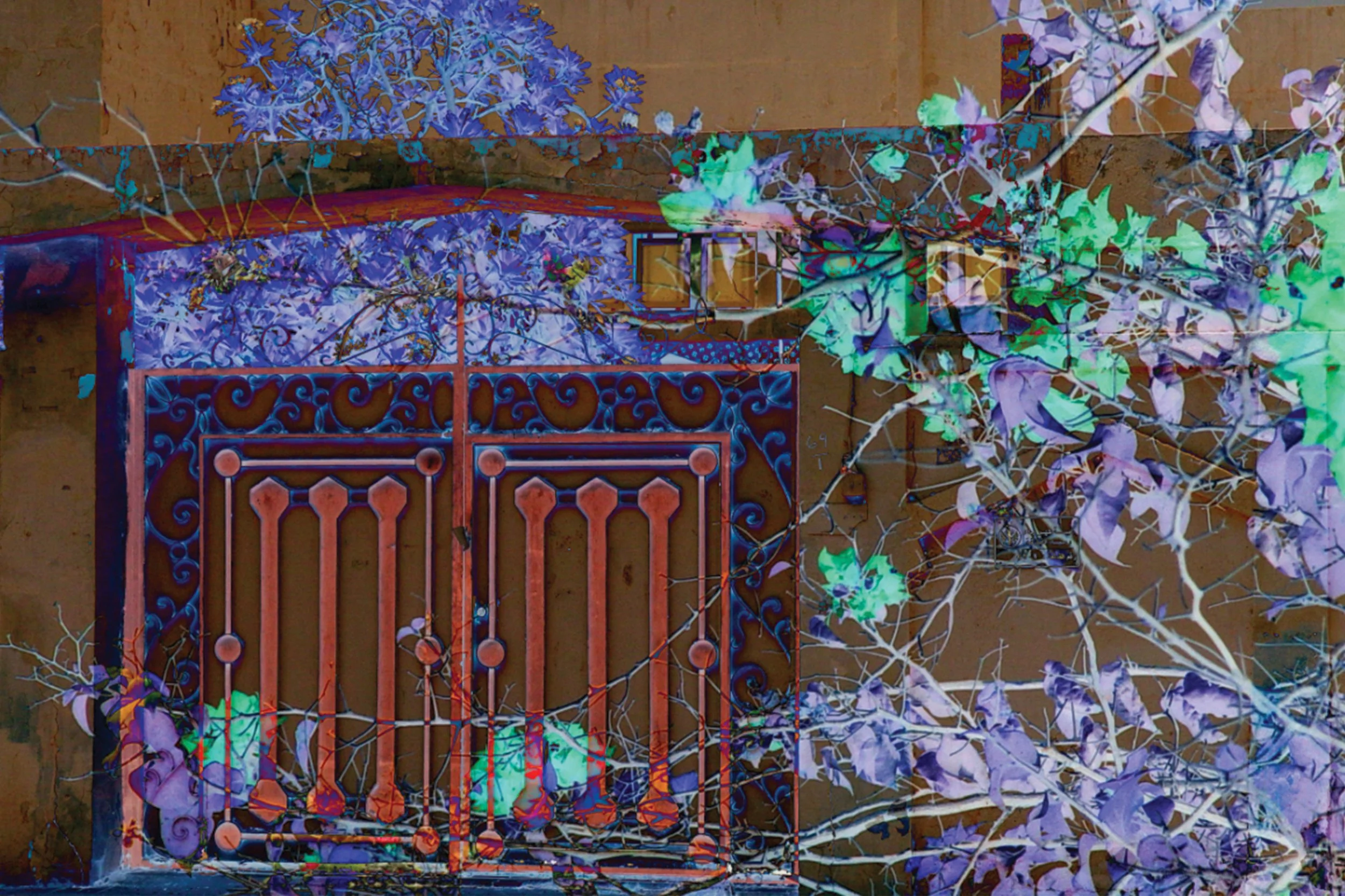 Untitled
2025
Variable Dimensions
Digital Photography 