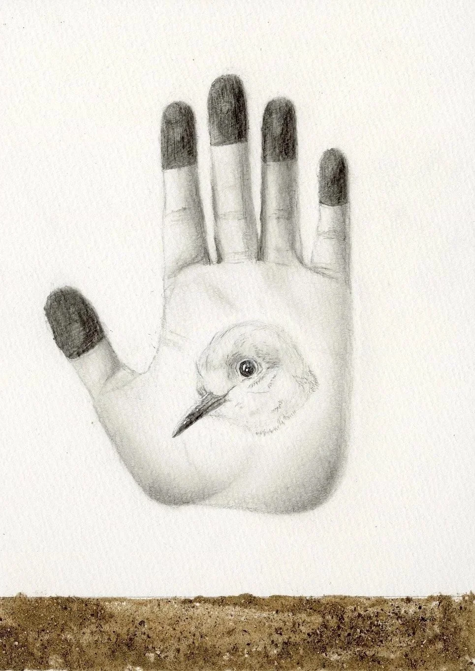 Named by Nature
2024
14.8×21cm Each
Series of 3
Graphite and Sand on Paper