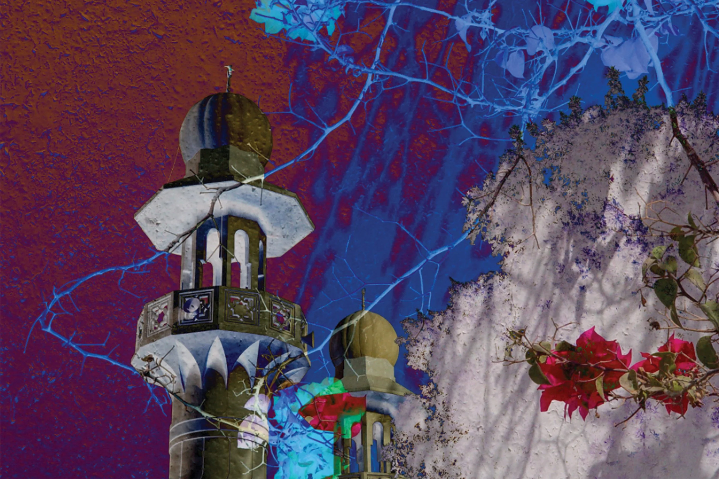 Untitled
2025
Variable Dimensions
Digital Photography 