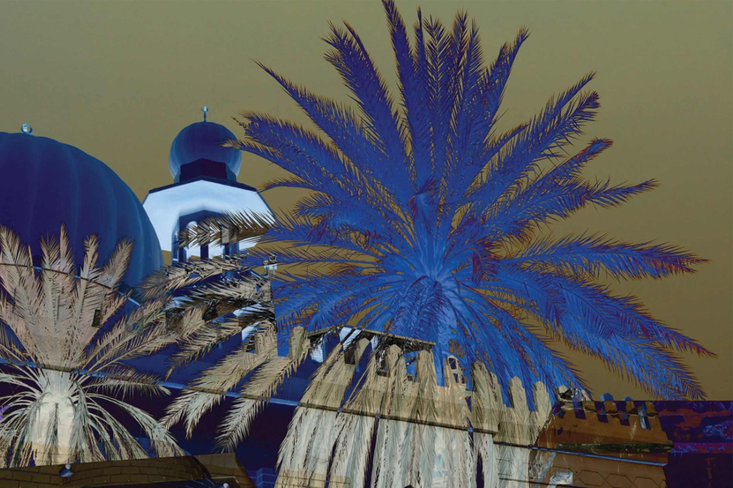 Untitled
2025
Variable Dimensions
Digital Photography 