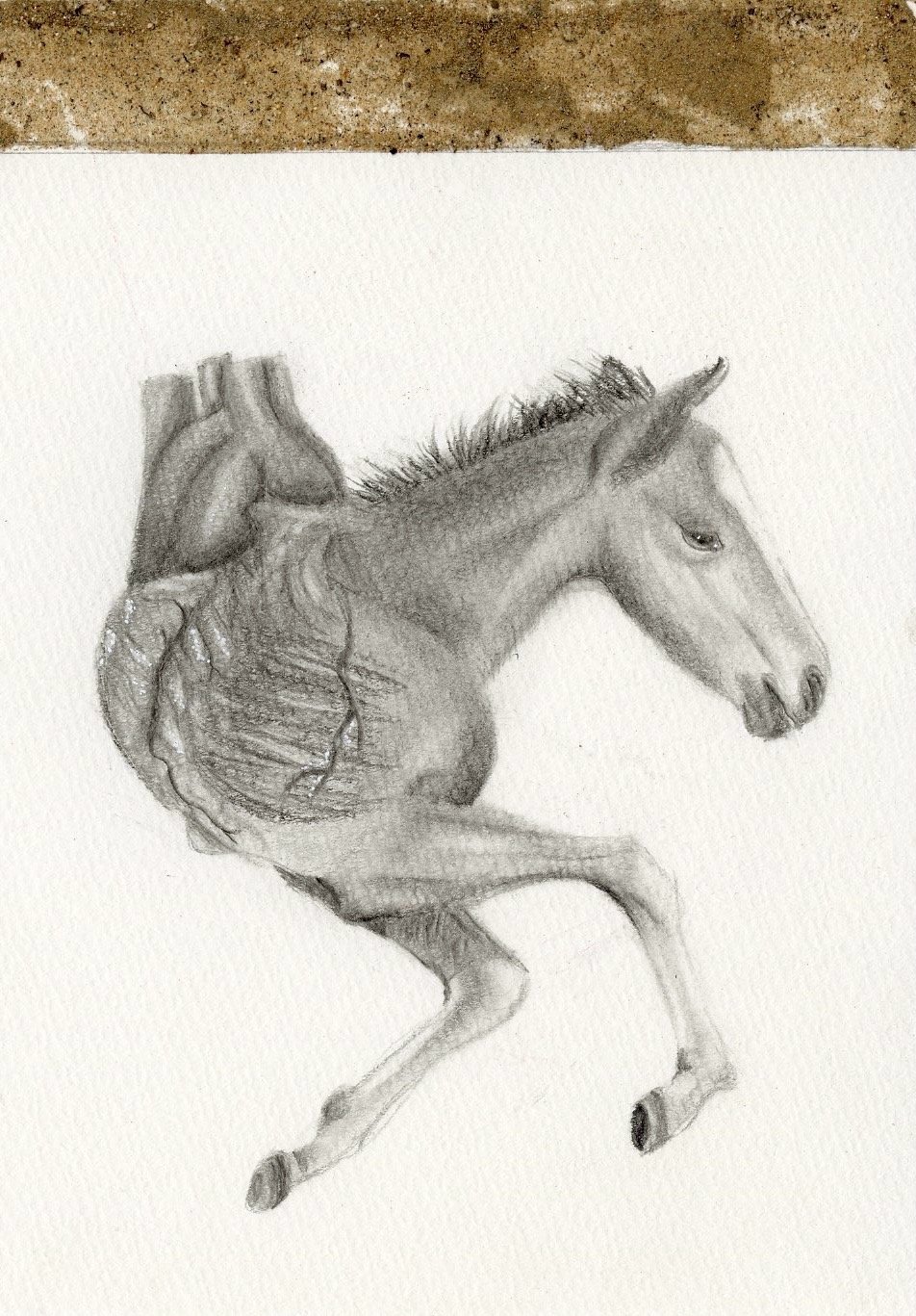 Named by Nature
2024
14.8×21cm Each
Series of 3
Graphite and Sand on Paper