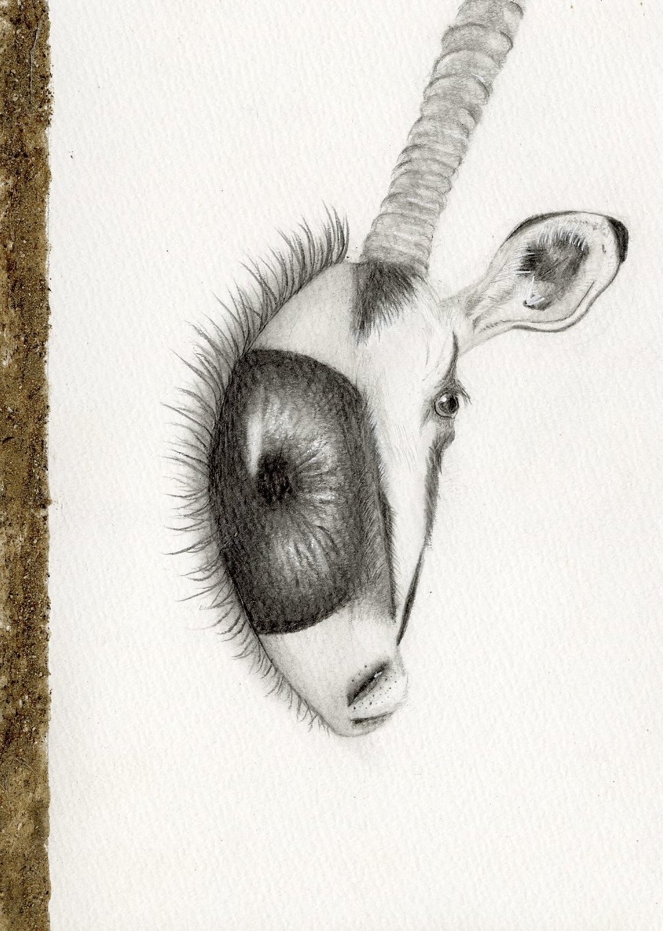 Named by Nature
2024
14.8×21cm Each
Series of 3
Graphite and Sand on Paper