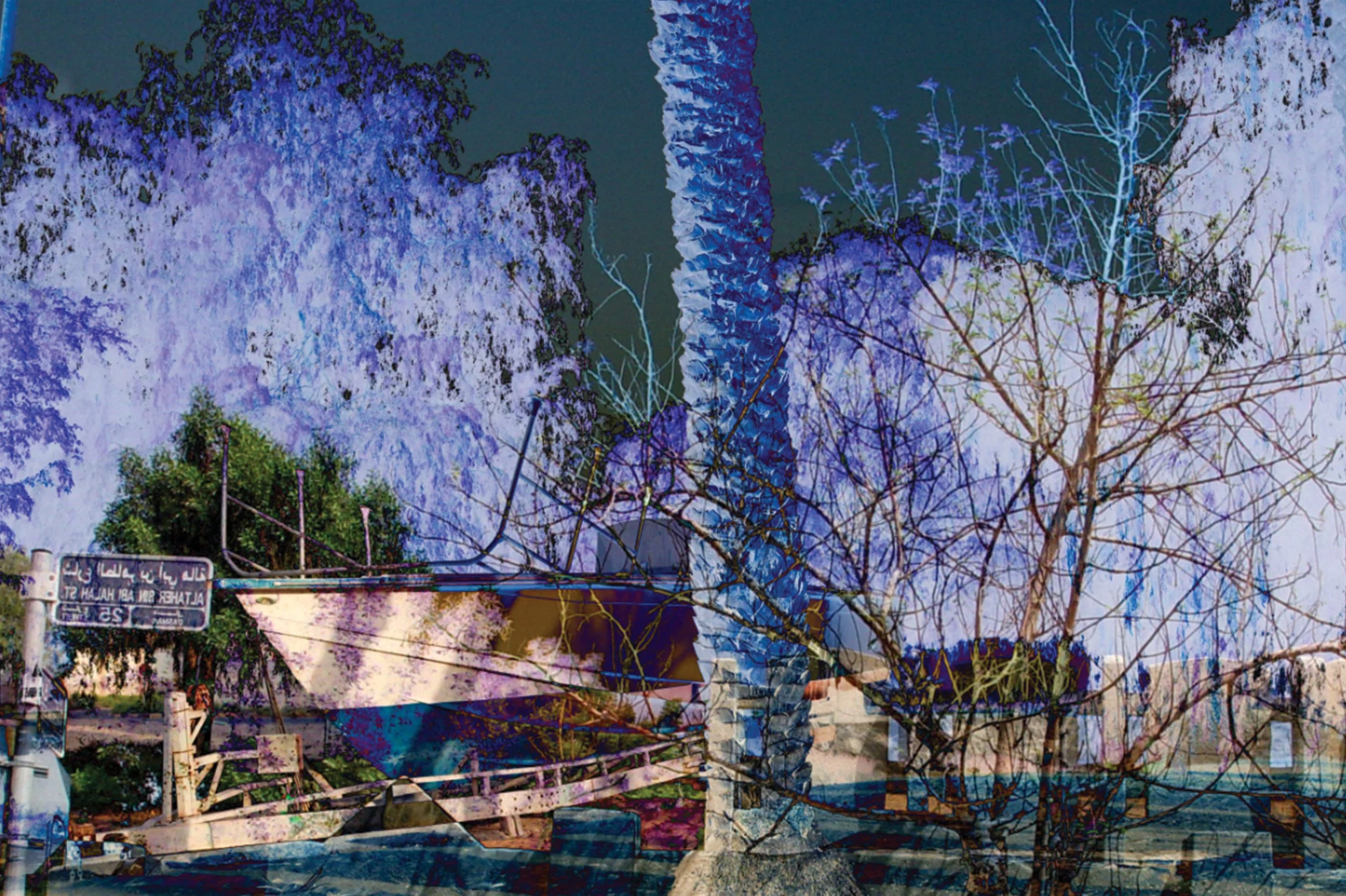 Untitled
2025
Variable Dimensions
Digital Photography 