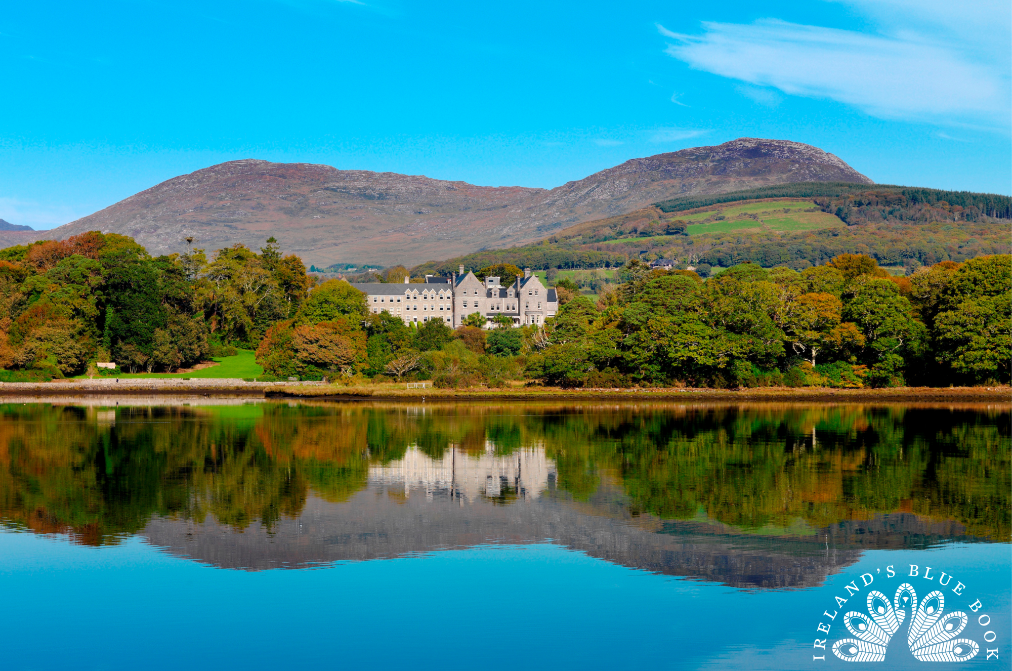 Park Kenmare IBB Logo.png