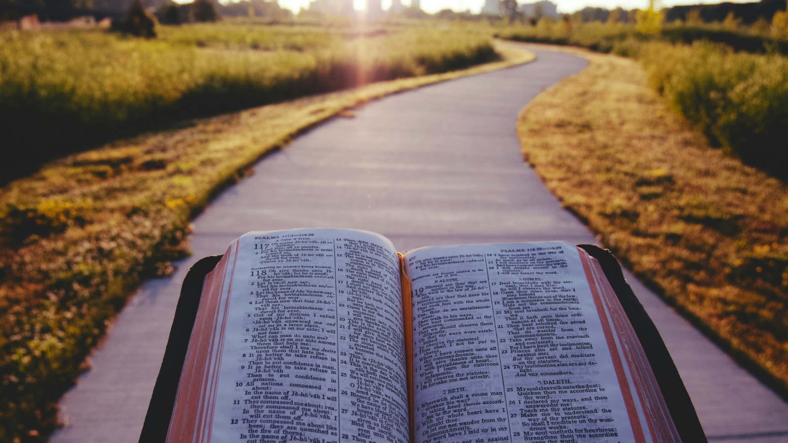 Bible on Path