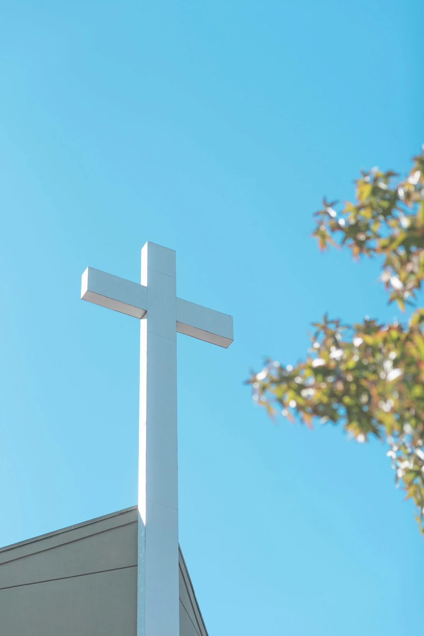 A white cross mounted on a building against a blue sky with some green and white flowers on the right side of the image.
