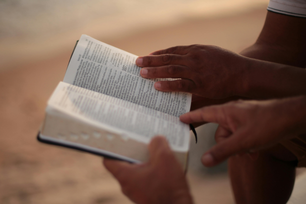 Hands Holding Bible