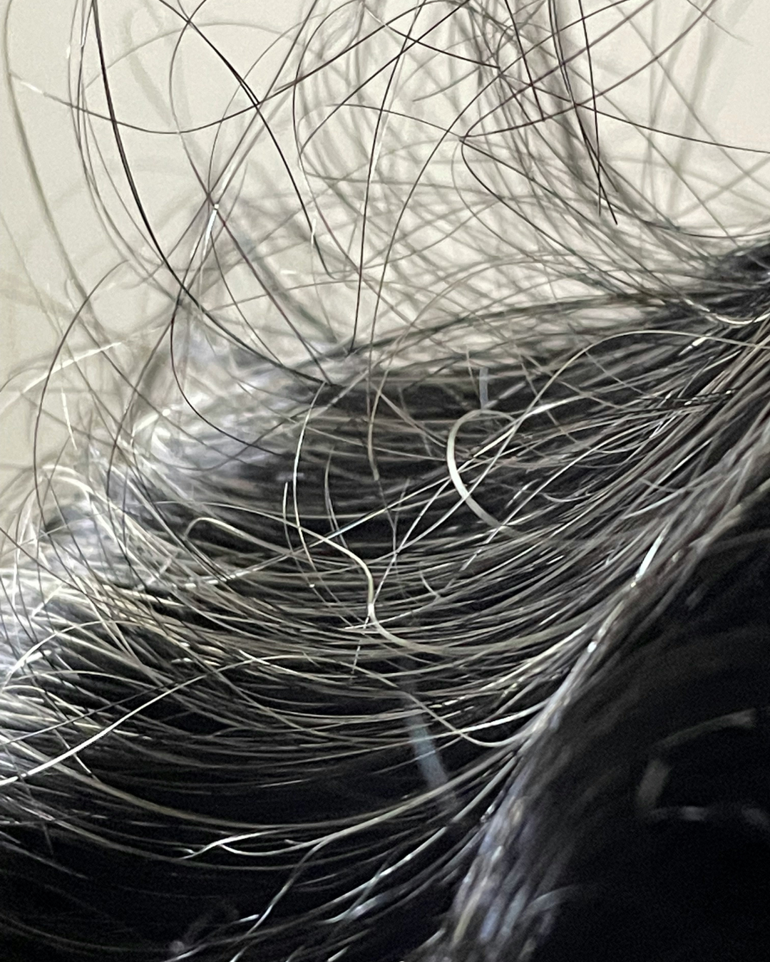 Close-up of tangled black and gray human hair.