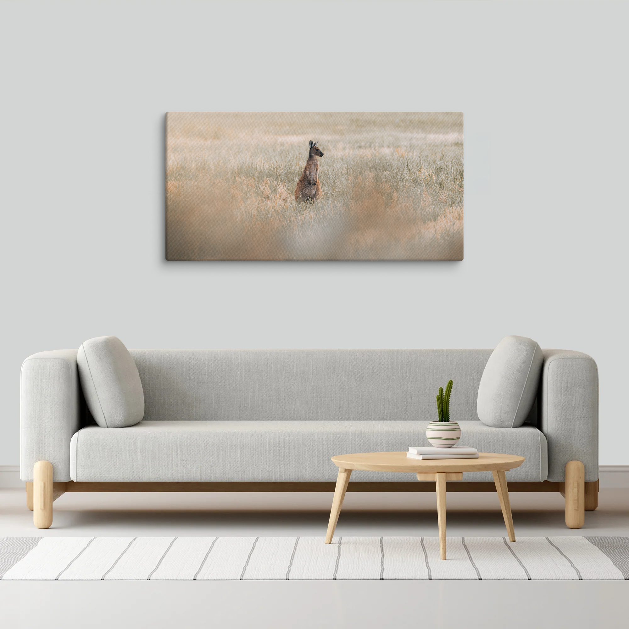 Morning in the Scrub