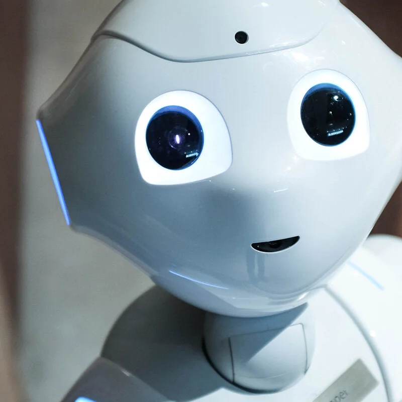 Disrupting Talent Development - The Rise of the Machine