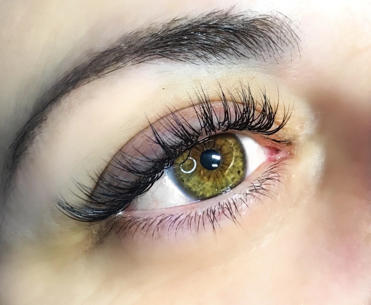 Close-up of a human eye with a brown iris, long classic set of eyelash extensions, and well-groomed eyebrows.