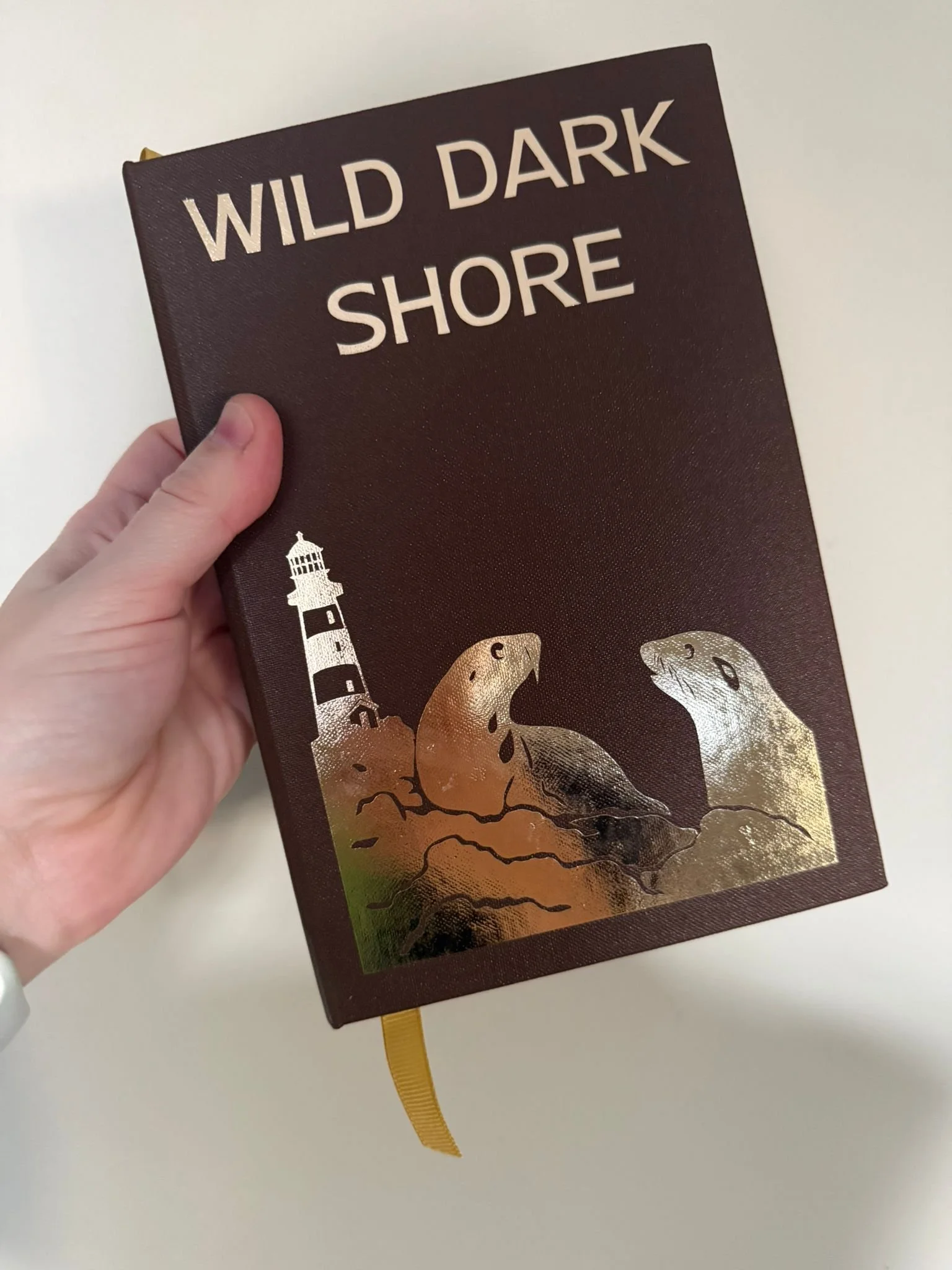 dark shore book 1.jpeg