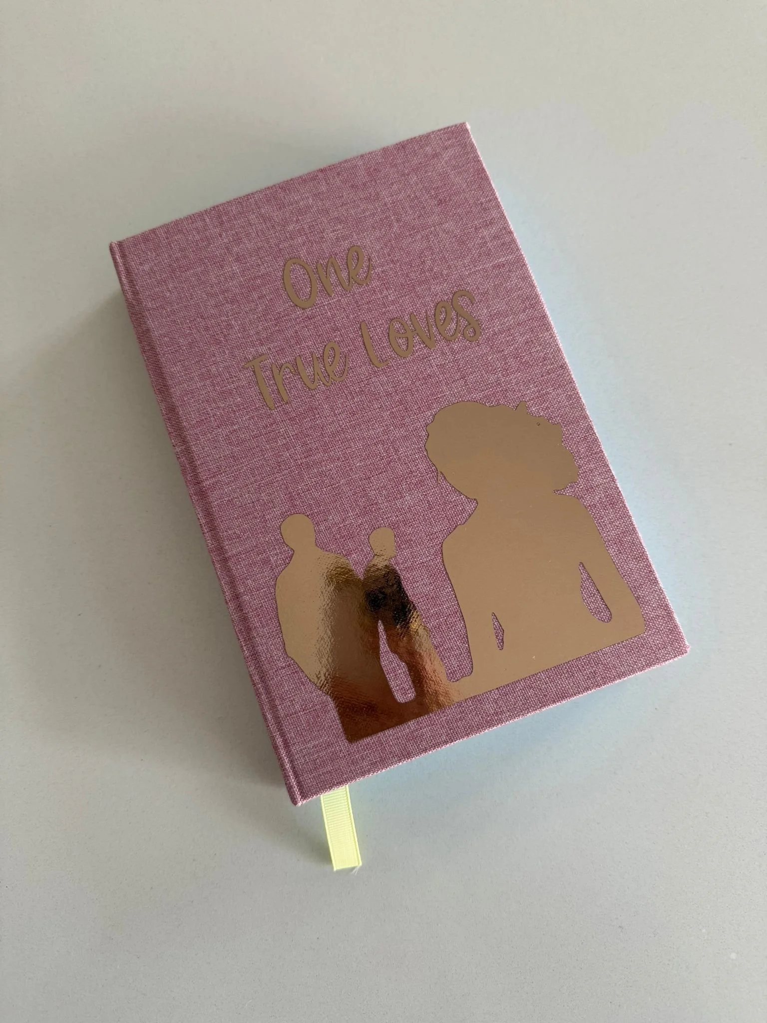 One True Loves by Taylor Jenkins Read