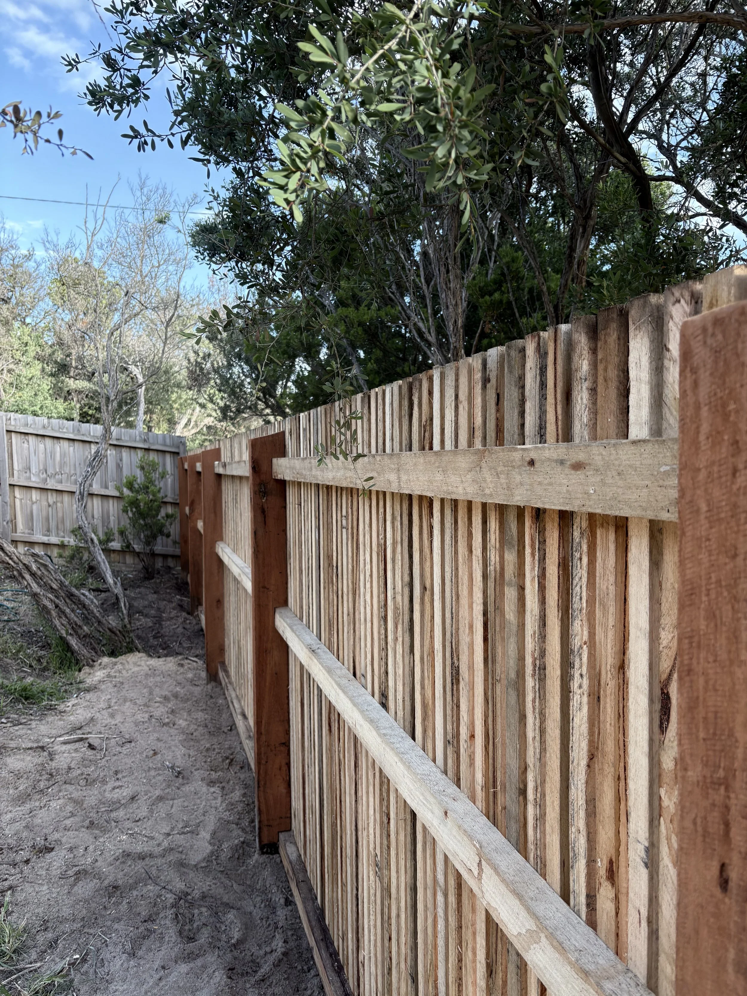 Newly constructed wooden privacy fence in a backyard with trees and clear blue sky.