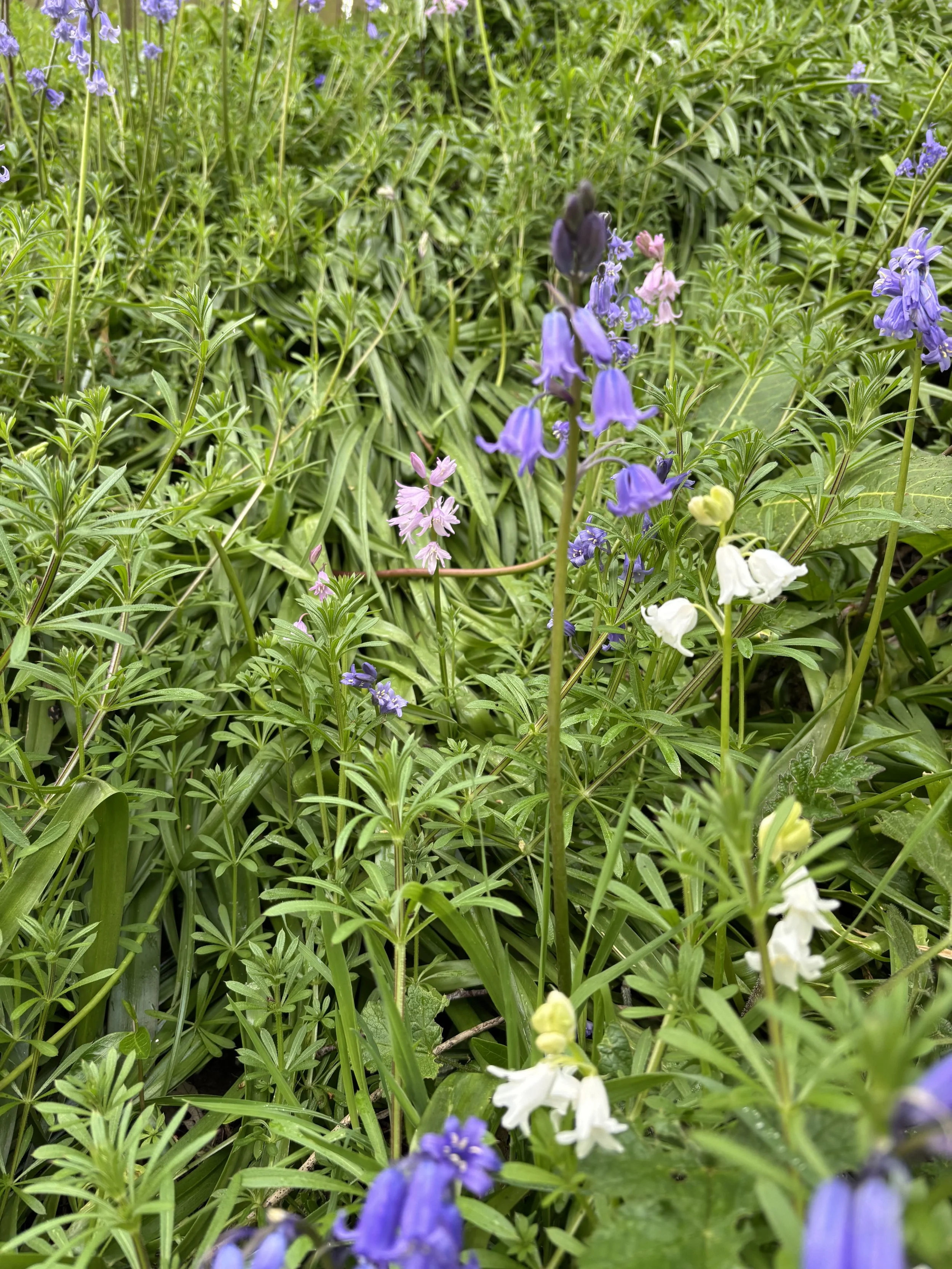image14.jpeg