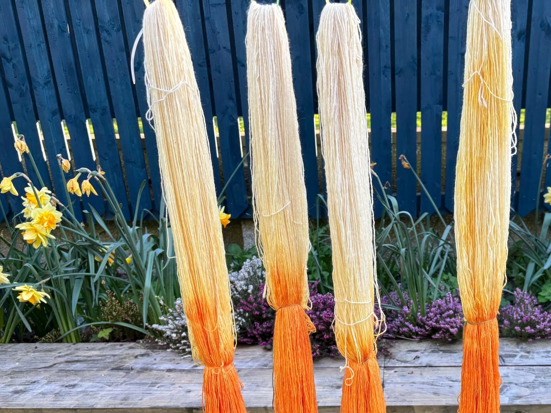 Five skeins of yarn hanging on a fence in front of a garden with yellow and purple flowers.