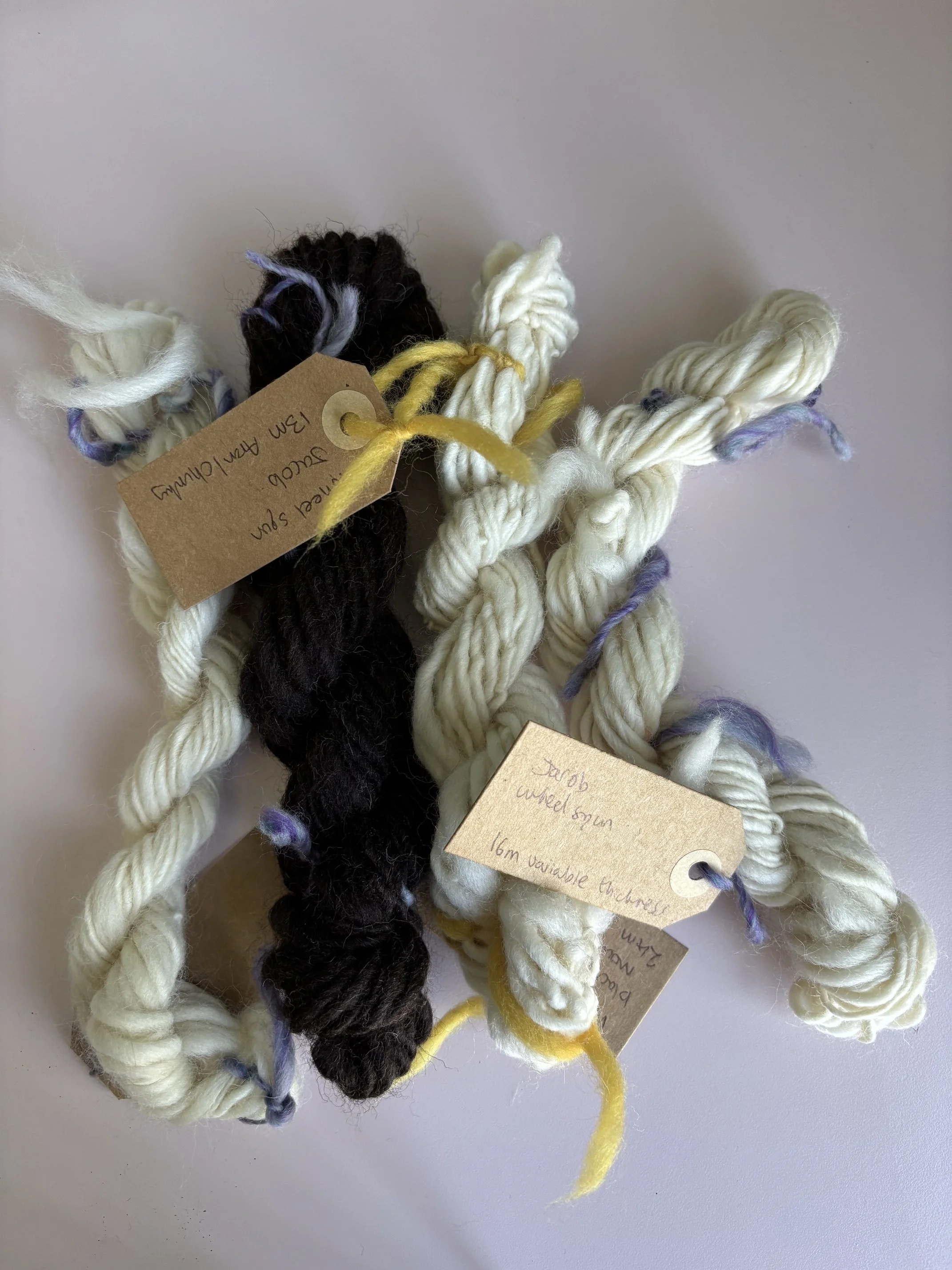 image12.jpeg