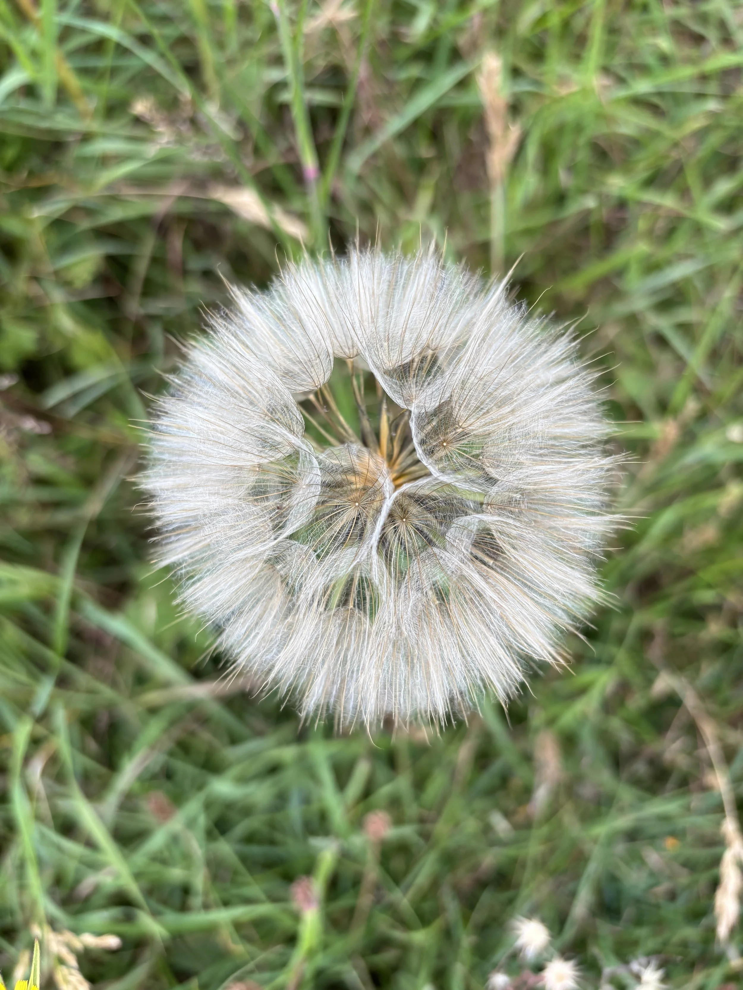 IMG_7995.jpeg