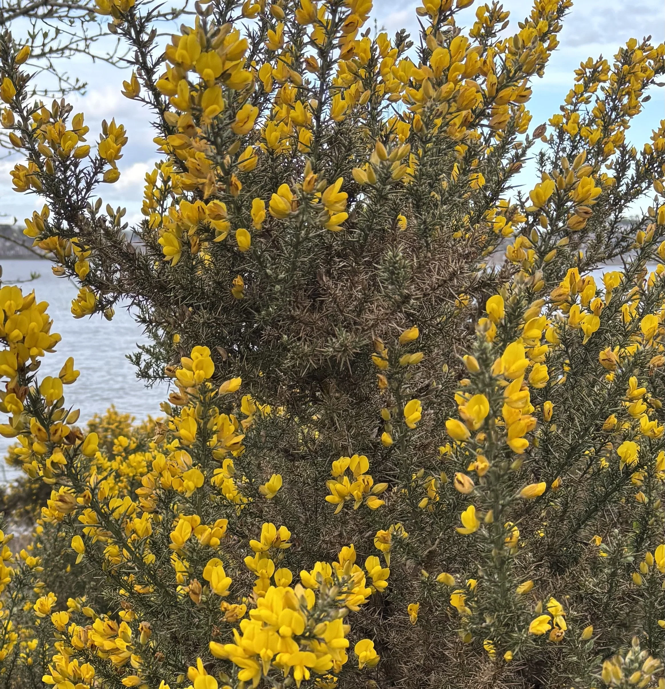 image11 (6).jpeg