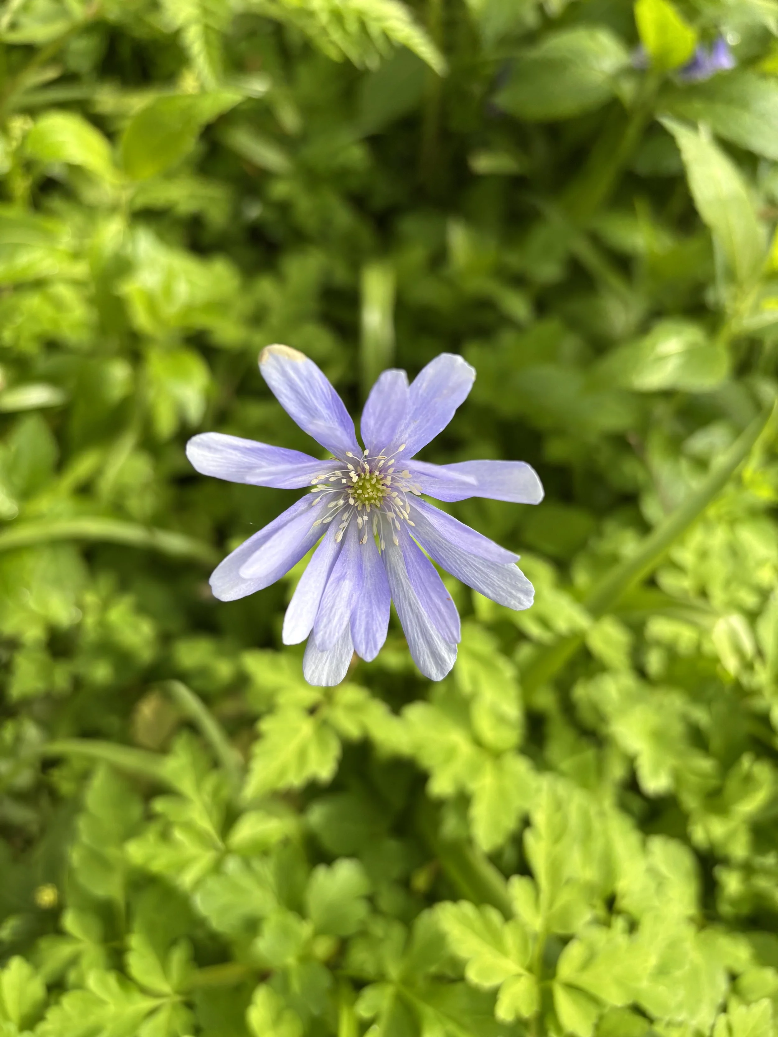 image1 (2).jpeg