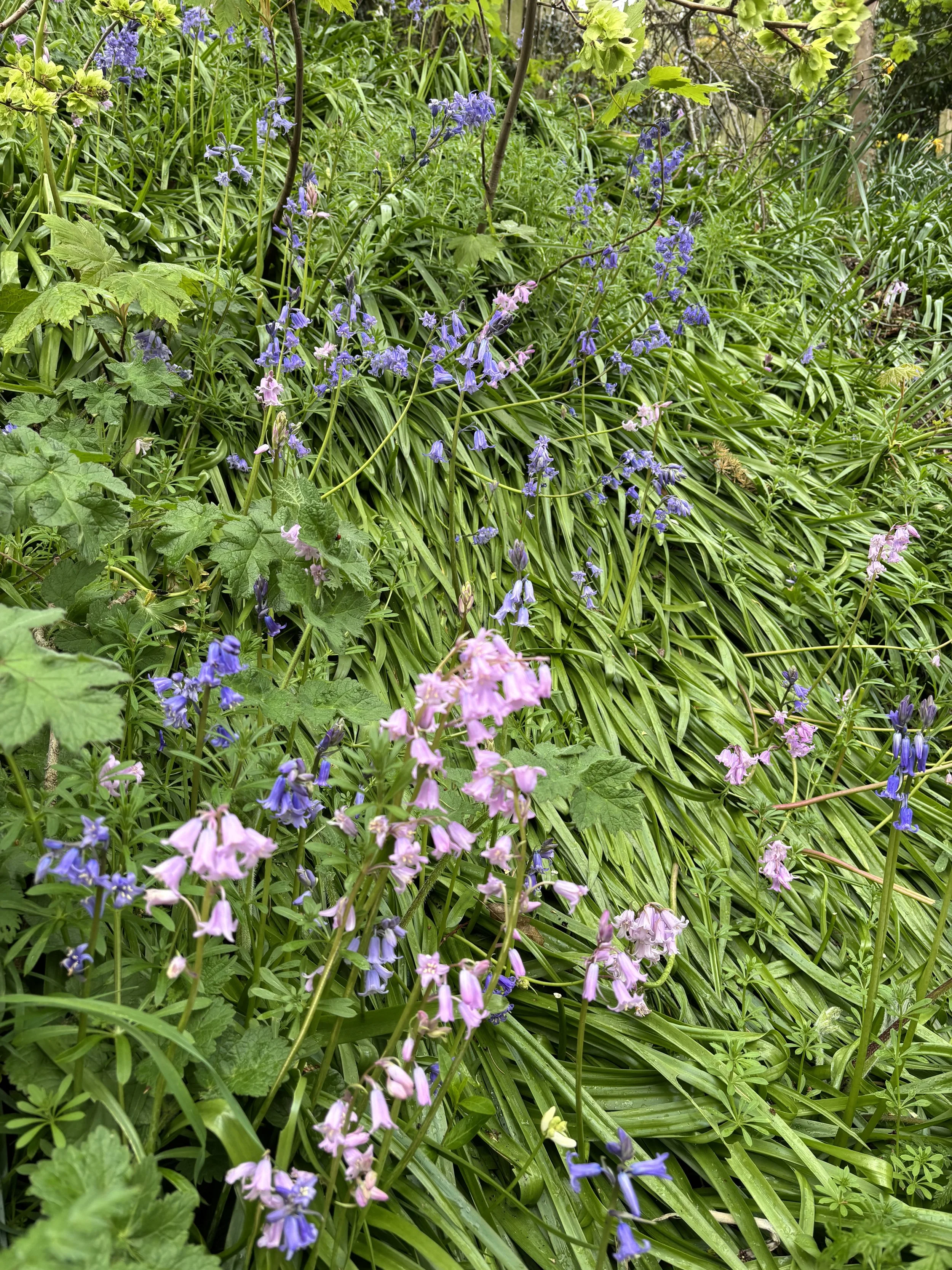 image16.jpeg