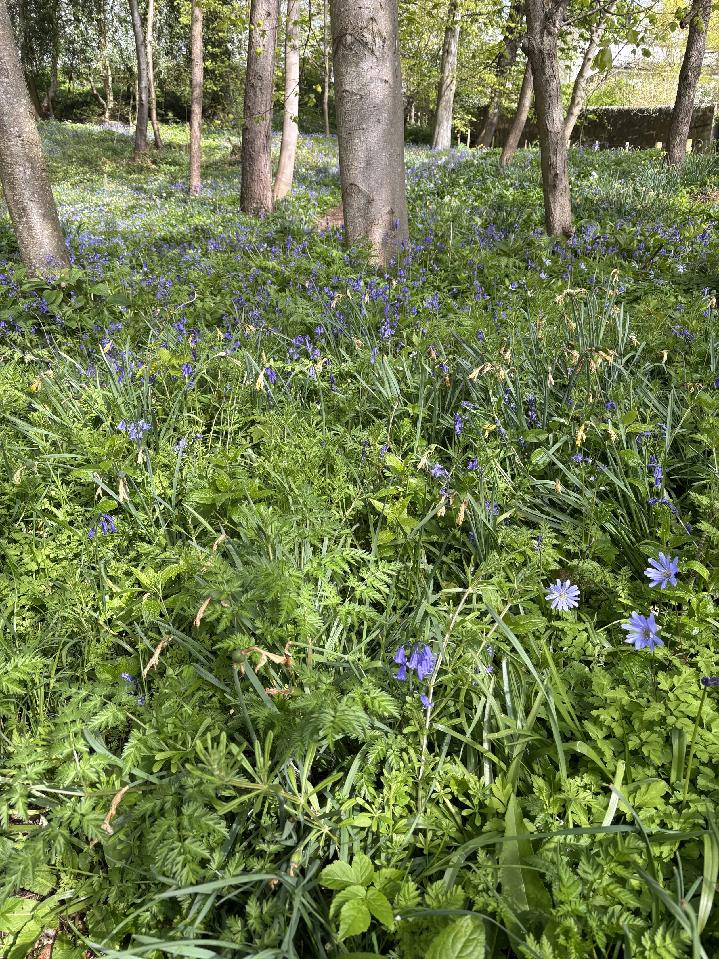 image4 (2).jpeg