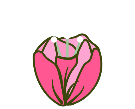 illustration of blooming flower