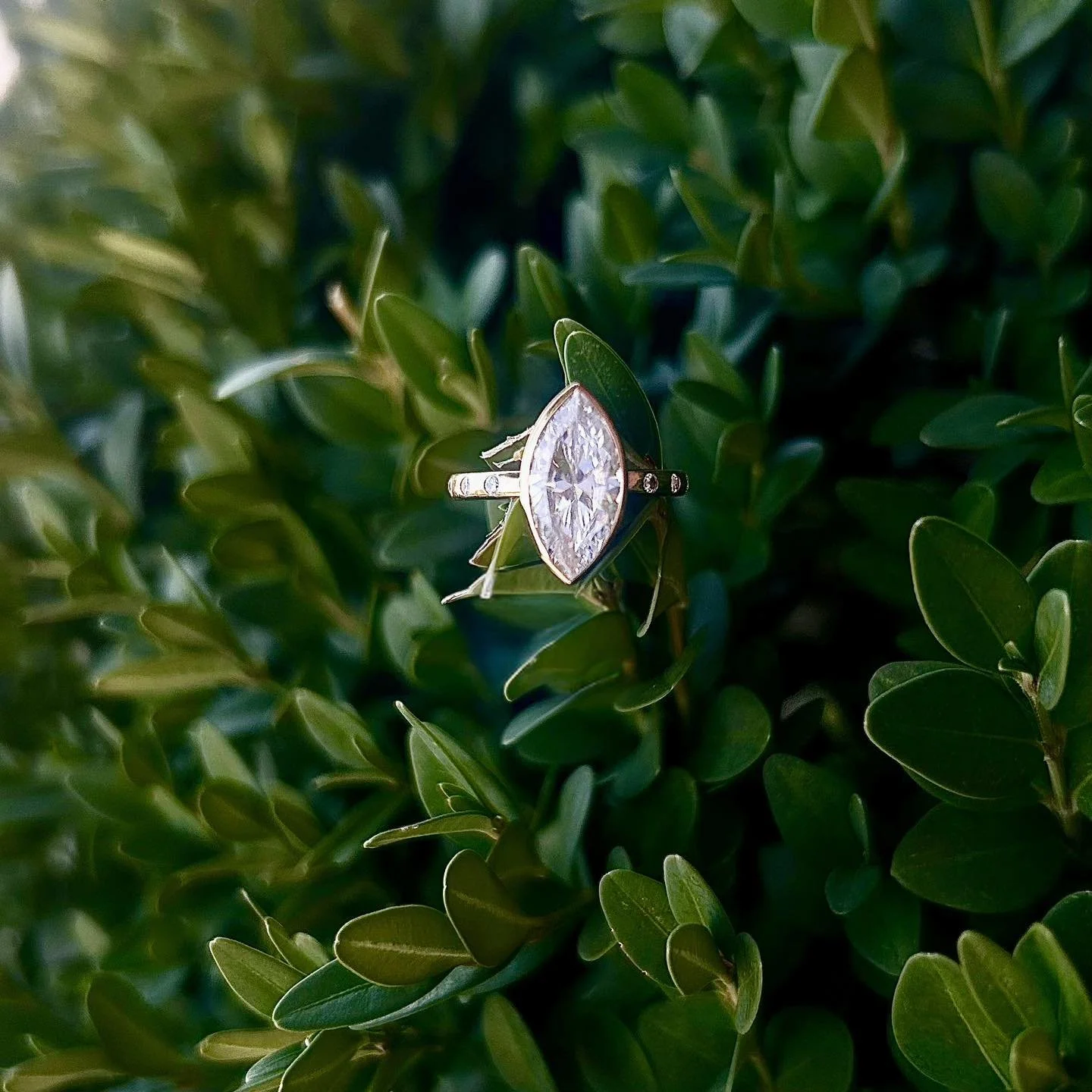 A ring with a large marquise-cut diamond is placed on green foliage.