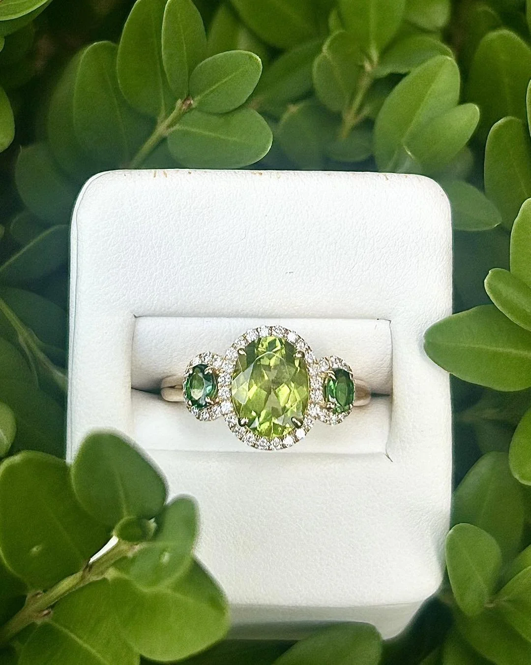 Peridot and emerald gemstone ring with a halo of small diamonds, set in white gold, displayed in a white ring box surrounded by green leaves.