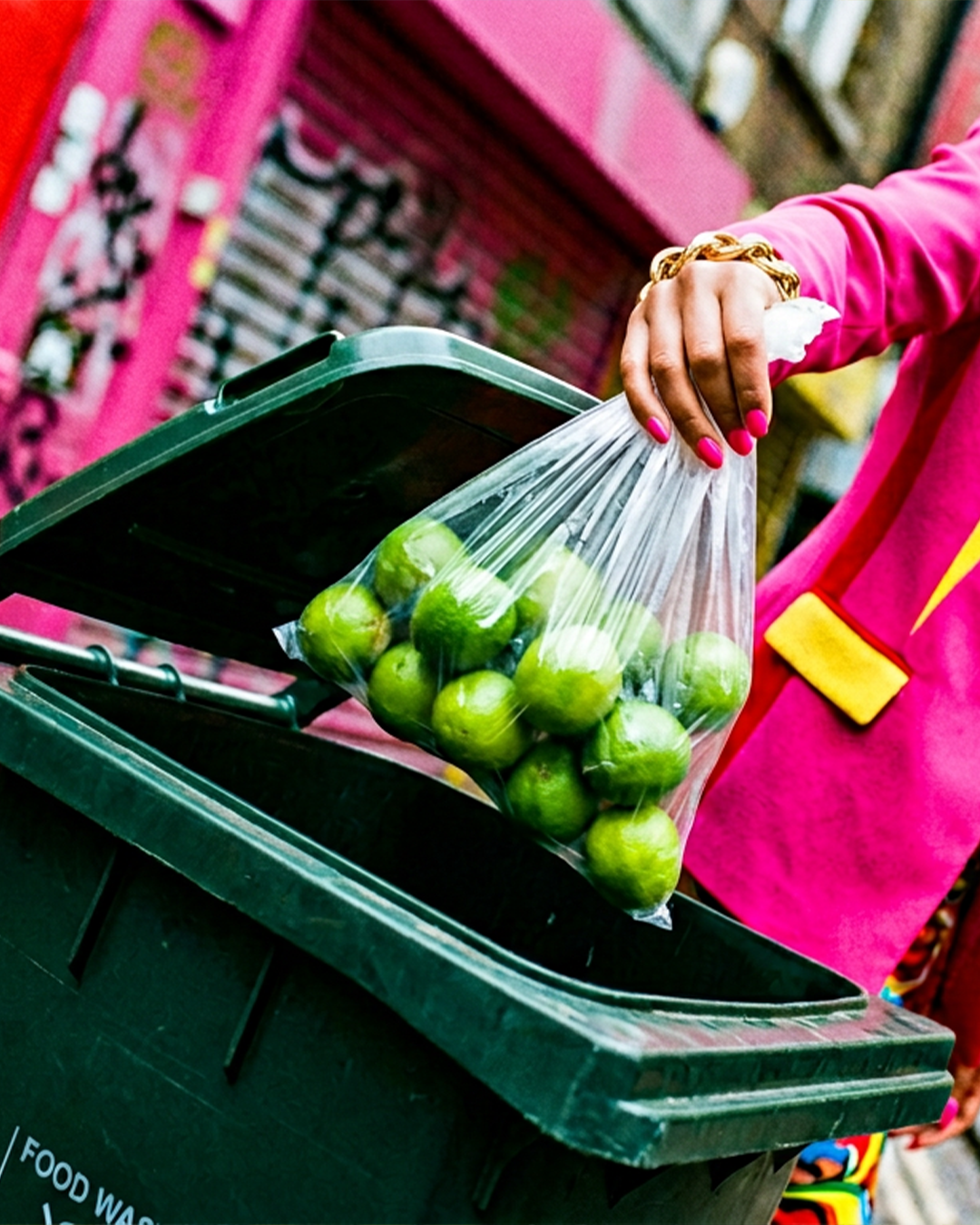 Lime-bin-1.png