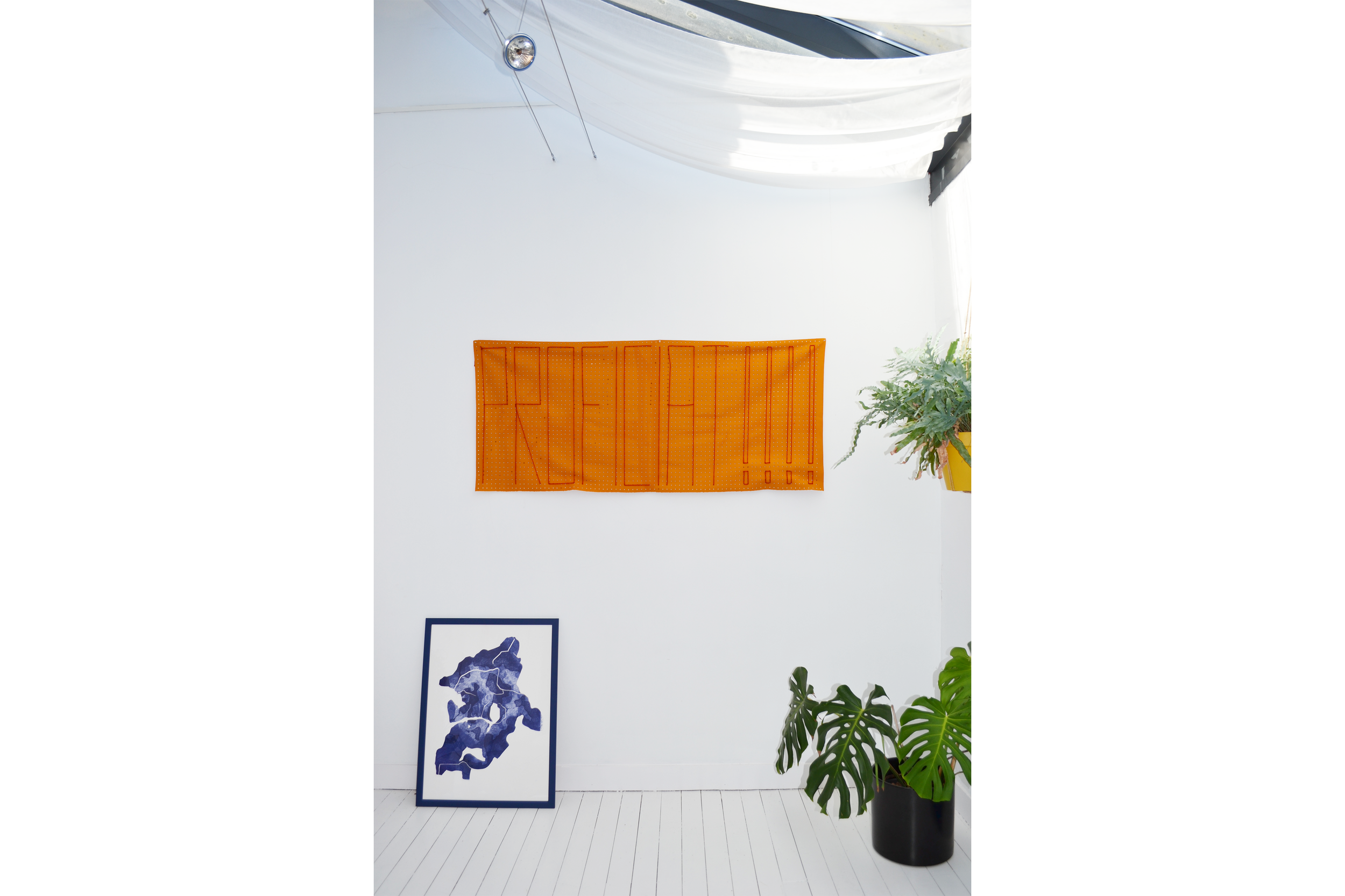 BANNER PROFICIAT 1.png