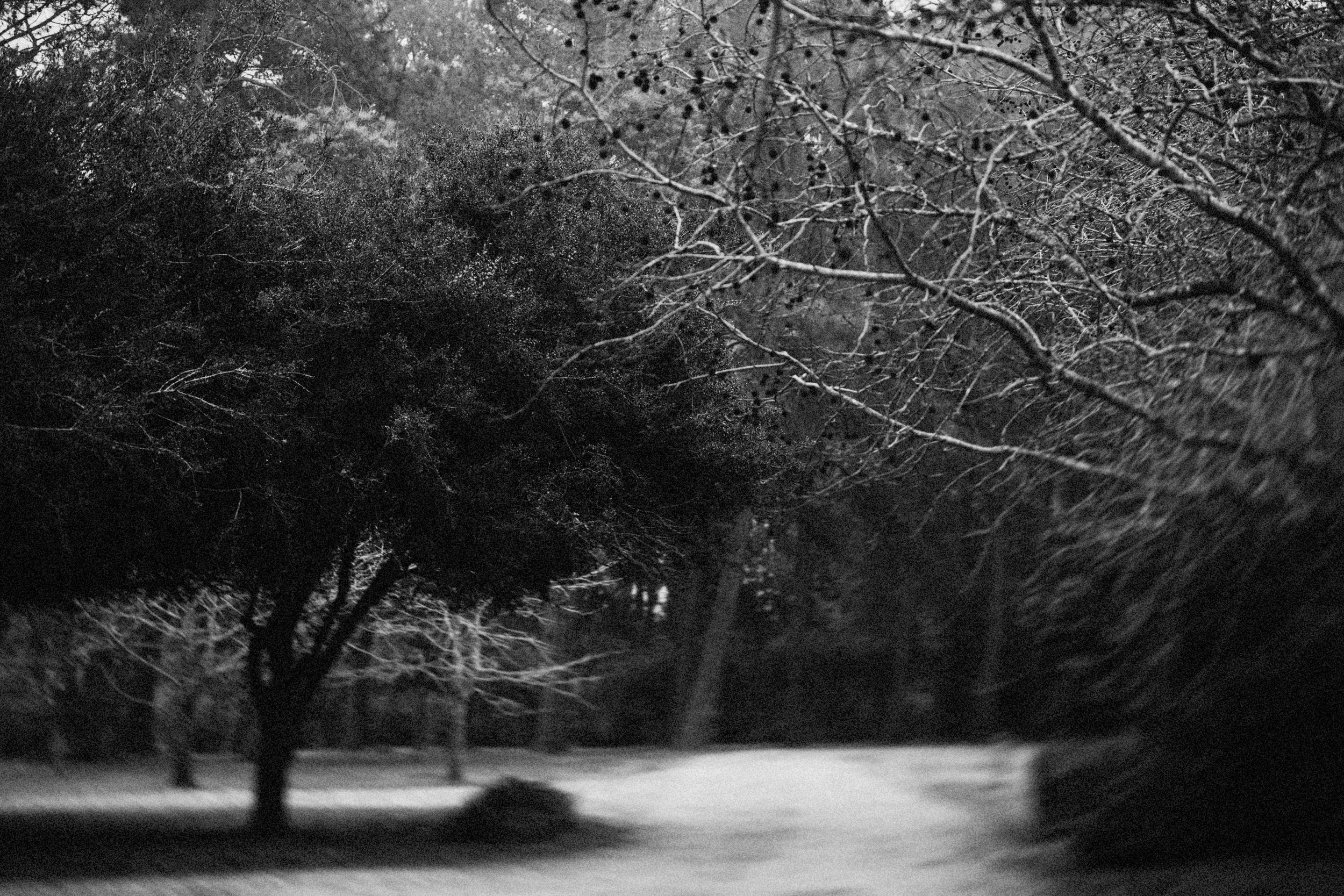 Invierno: una guía gratuita y prácticas de bienestar