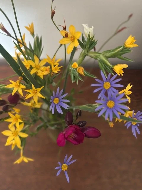 Flores silvestres