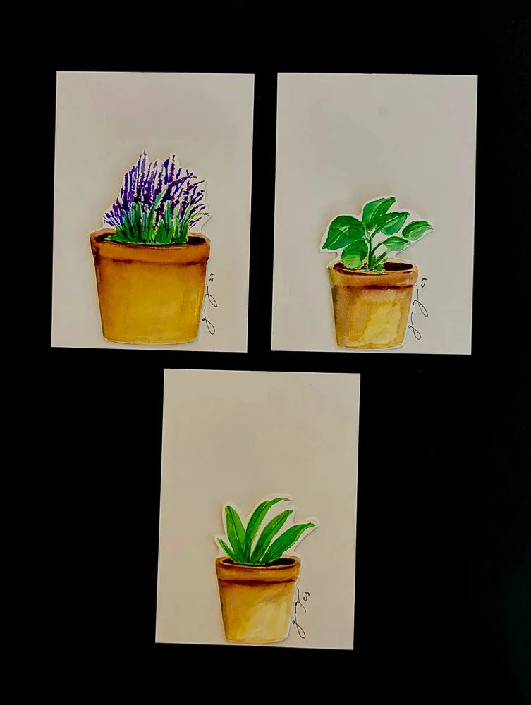 Three watercolor illustrations of potted plants on white paper, arranged on a black background. The top row has a pot with lavender flowers on the left and a green leafy plant on the right. The bottom row features a plant with long, green leaves in a