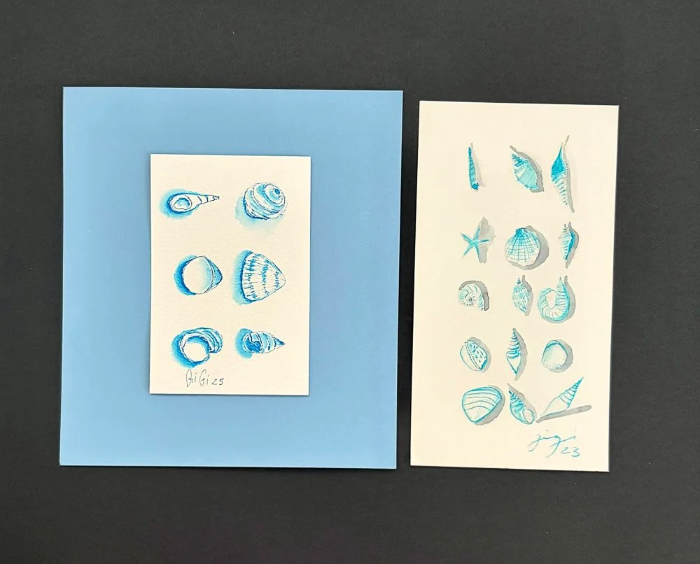 Two pieces of artwork featuring blue ink drawings of seashells and a starfish on white paper. One piece is on a blue background, and the other is on a white background. The drawings are detailed and artistically rendered.