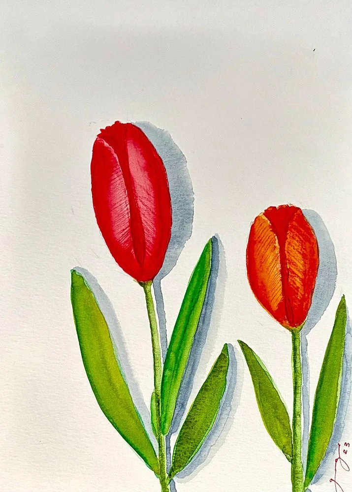 Watercolor painting of two tulips, one red and one orange, with green stems and leaves on white background.
